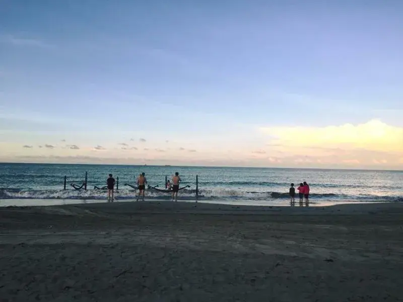 Beach in Palm Beach Resort & Spa