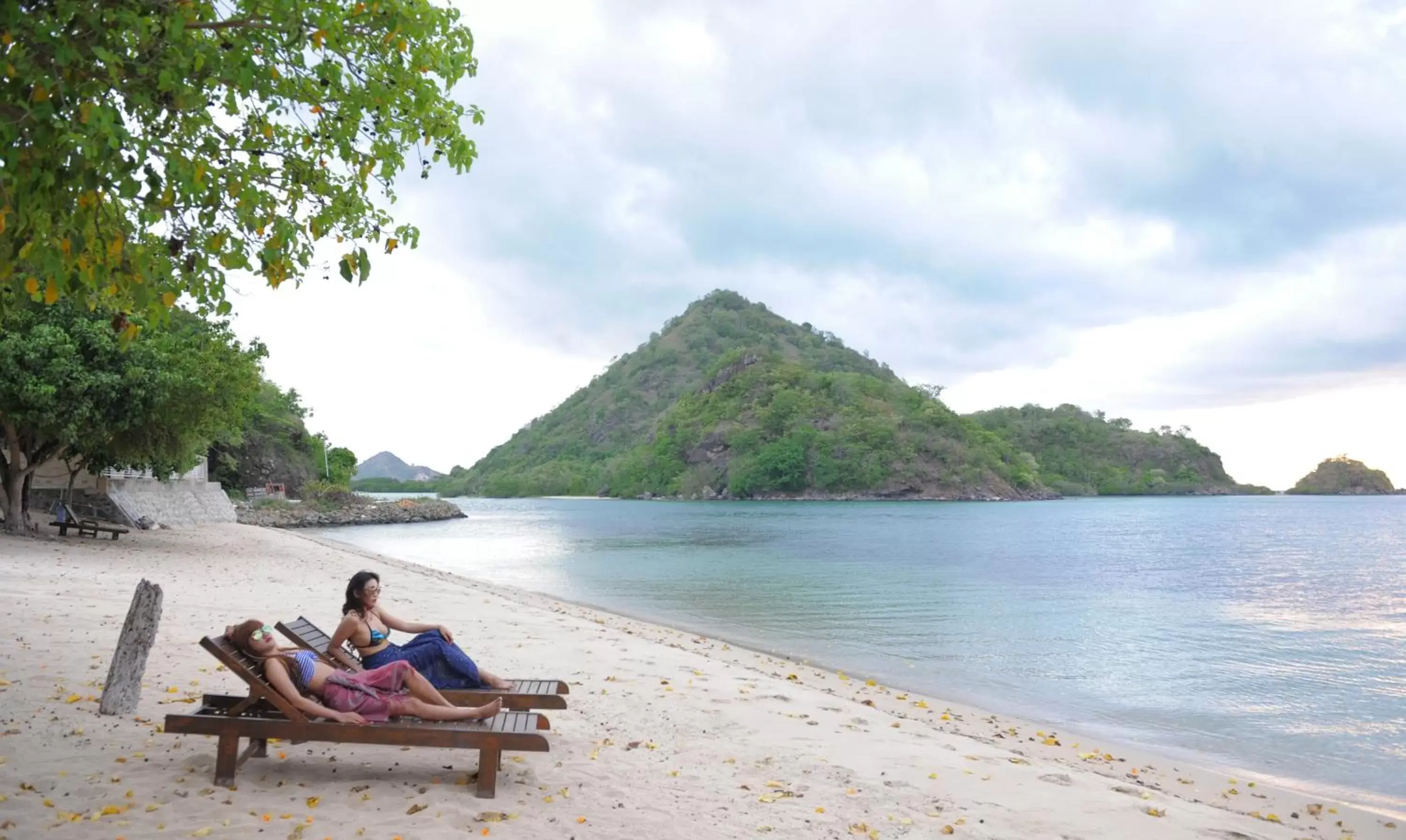 Beach in Sylvia Beach Villa