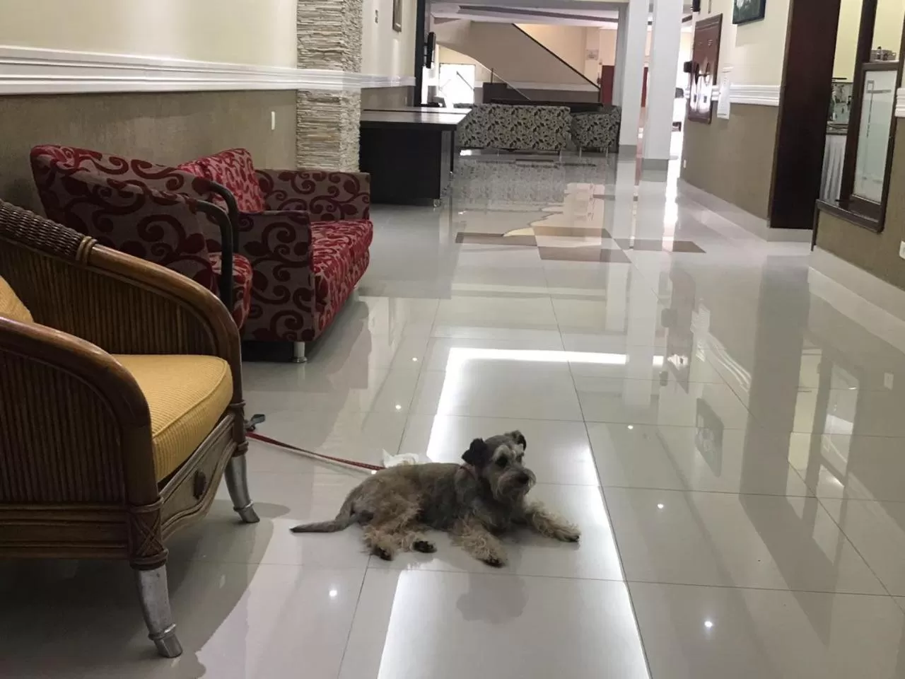 Property building in Hotel Estação Express