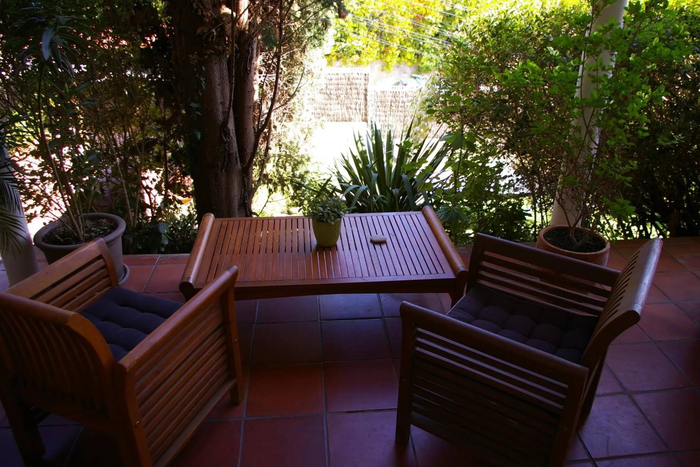 Balcony/Terrace in B&B Inés