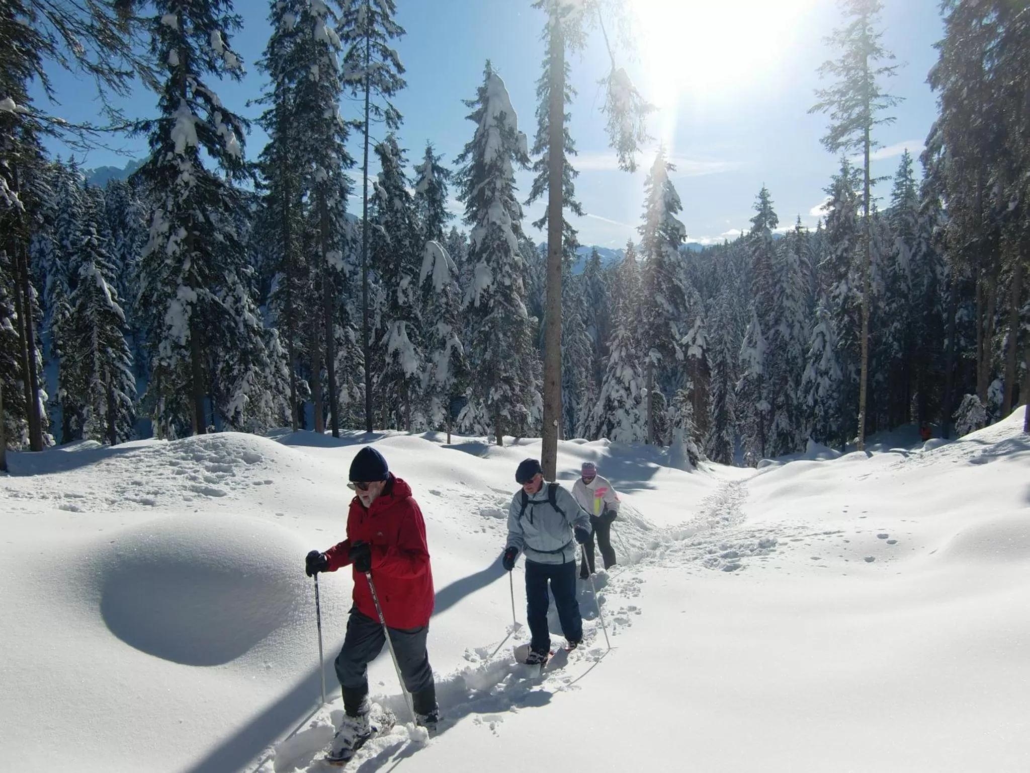 Winter in Sporthotel Xander