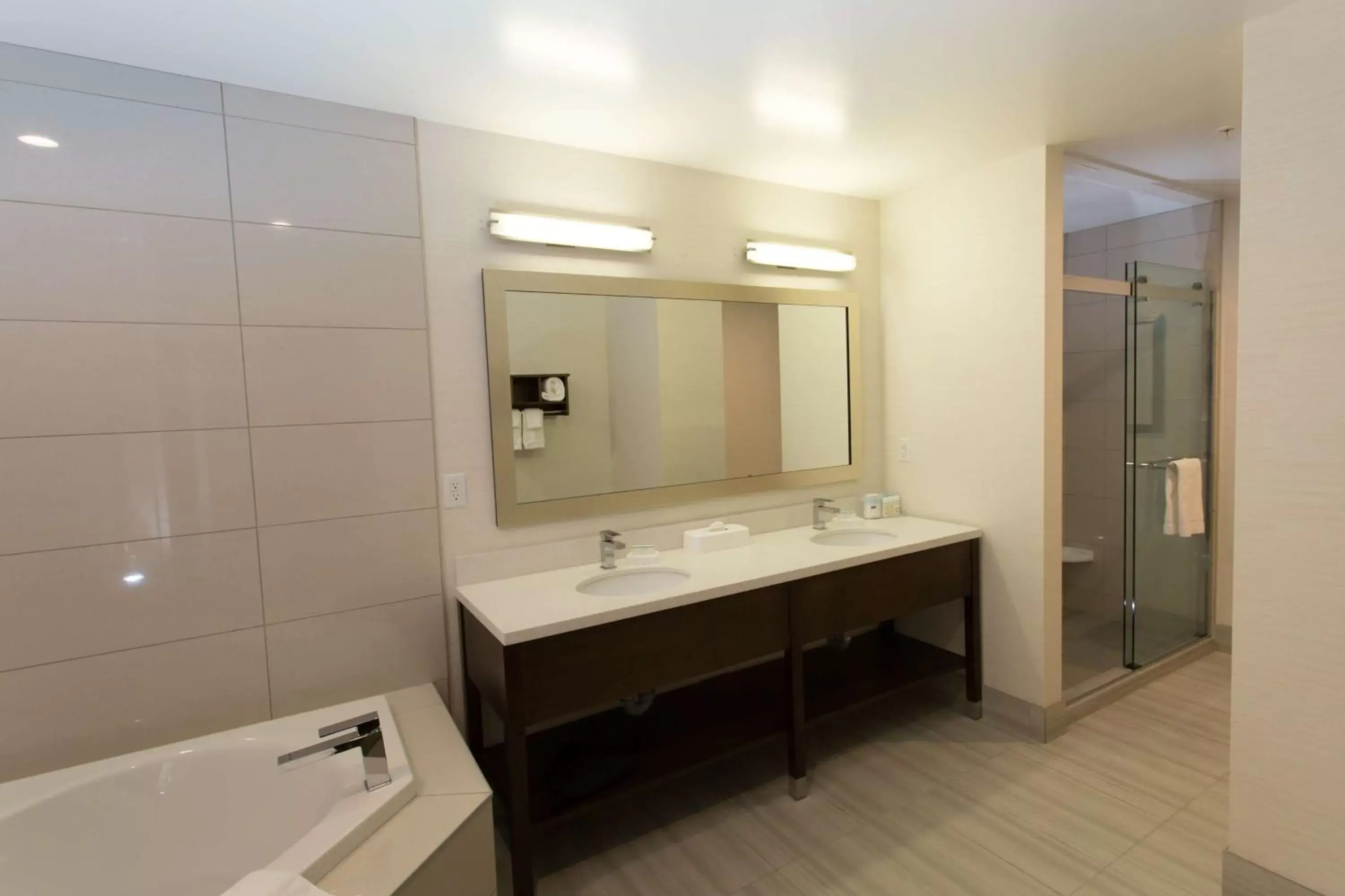 Bathroom in Hampton Inn by Hilton Lloydminster