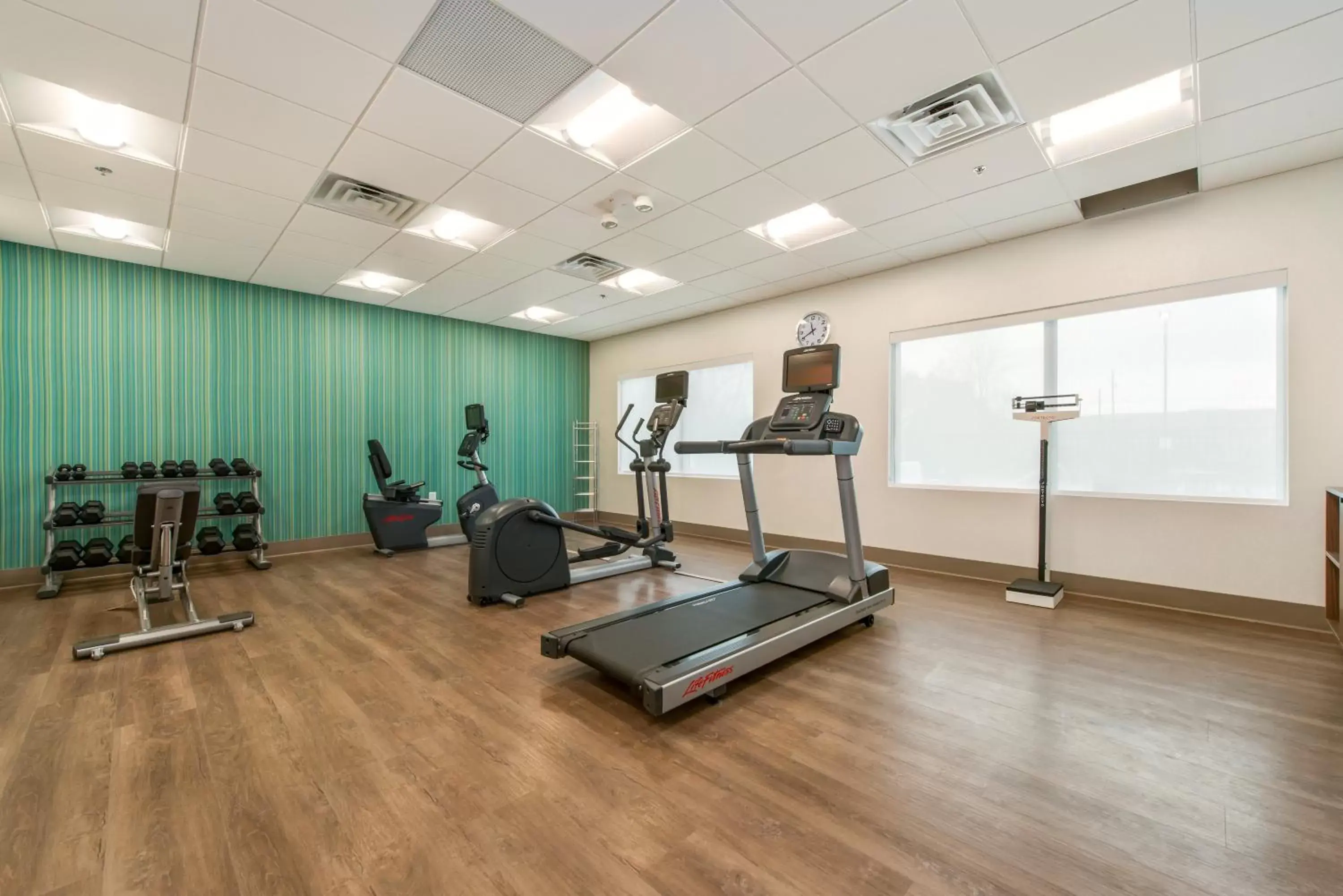 Spa and wellness centre/facilities, Fitness Center/Facilities in Holiday Inn Express & Suites - Carrollton West, an IHG Hotel