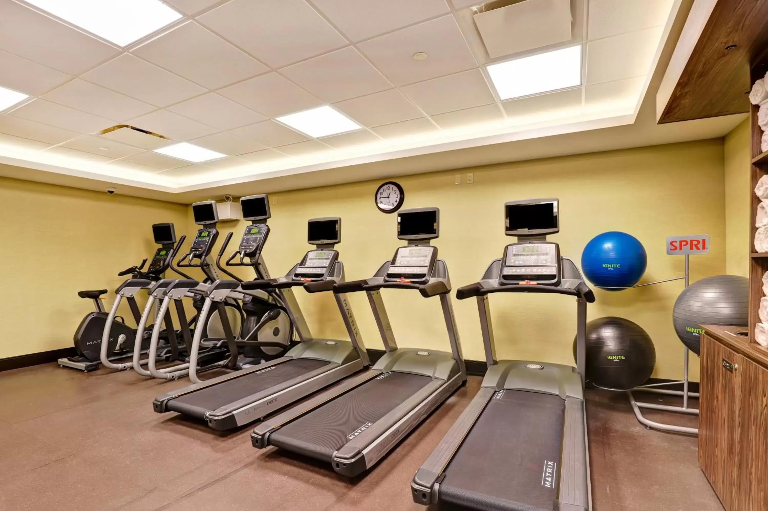 Fitness centre/facilities, Fitness Center/Facilities in Holiday Inn - Mississauga Toronto West, an IHG Hotel