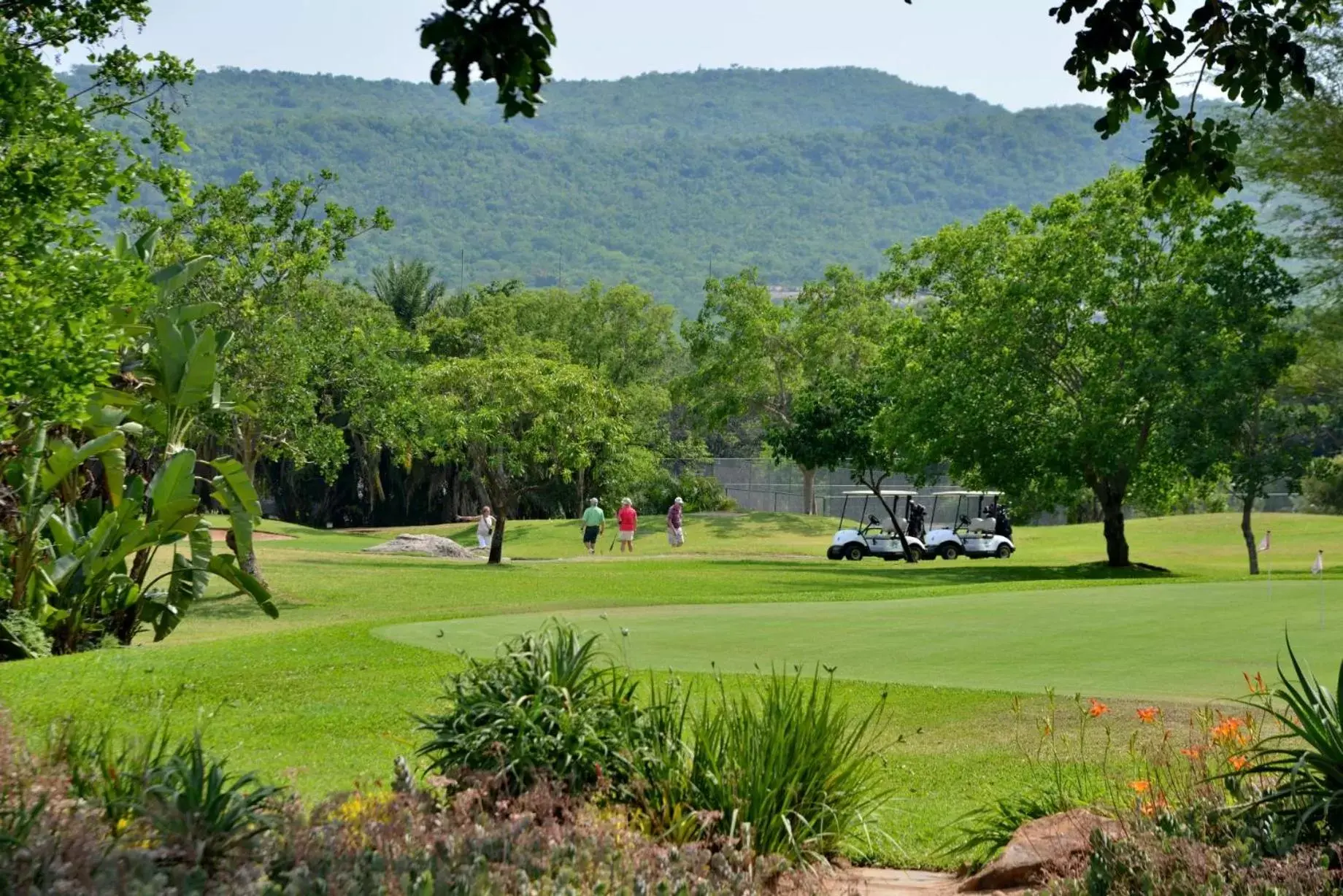 Natural landscape in Cambalala - Luxury Units - in Kruger Park Lodge - Serviced Daily, Free Wi-Fi