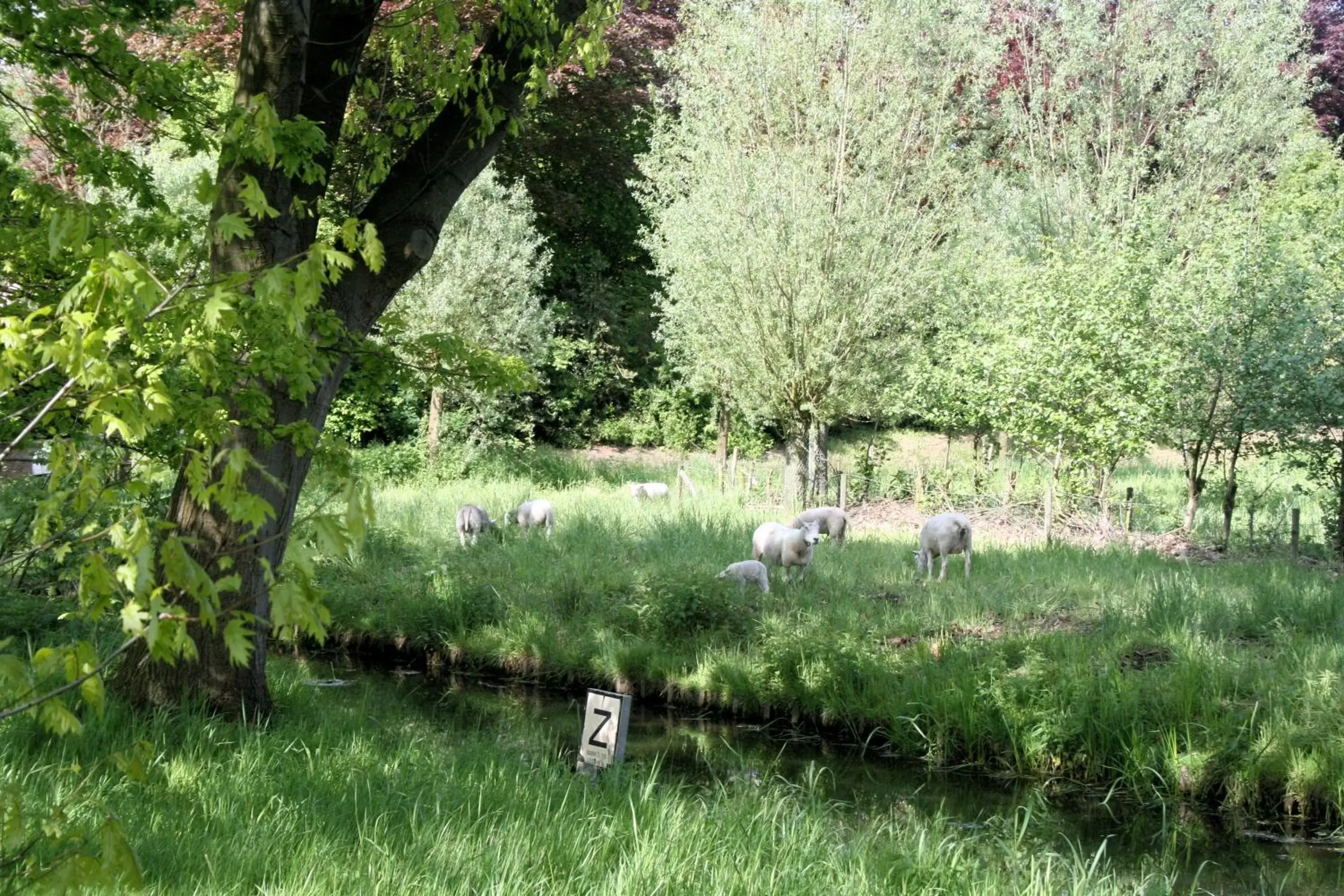 Natural landscape, Garden in Hotel Restaurant Hof van 's Gravenmoer