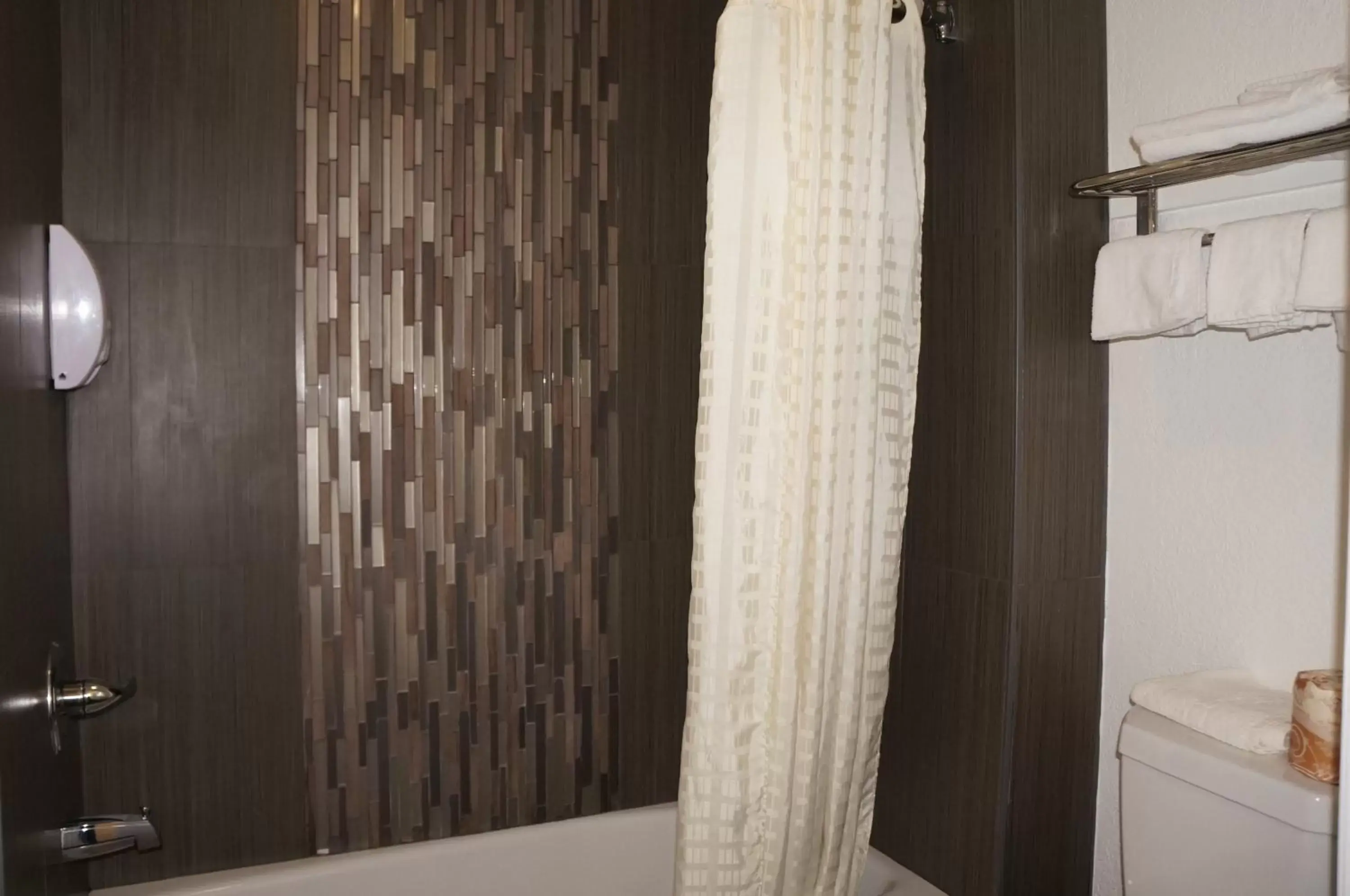 Shower, Bathroom in Americas Best Value Inn - Milpitas