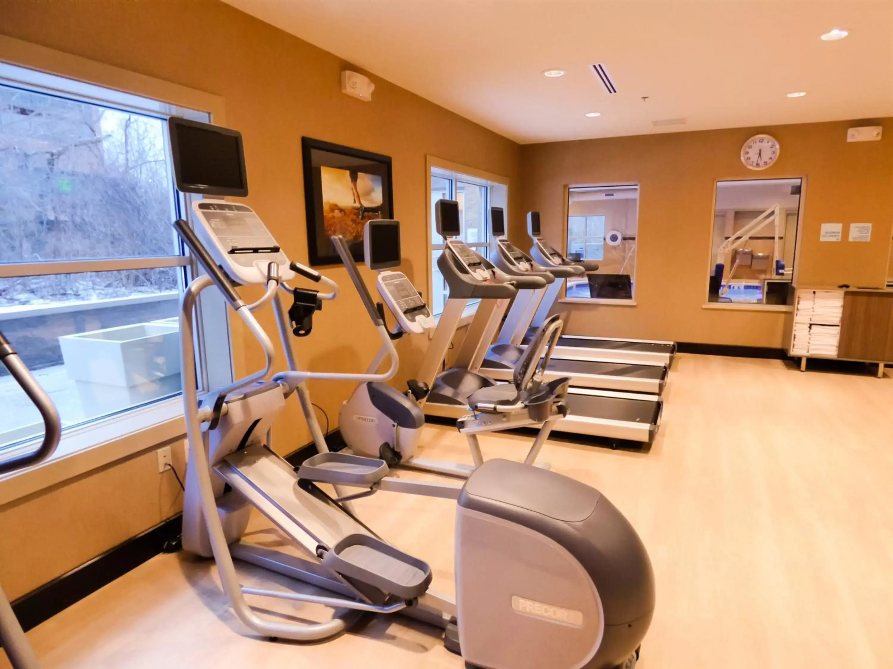 Fitness centre/facilities, Fitness Center/Facilities in Holiday Inn Express & Suites Plymouth - Ann Arbor Area, an IHG Hotel