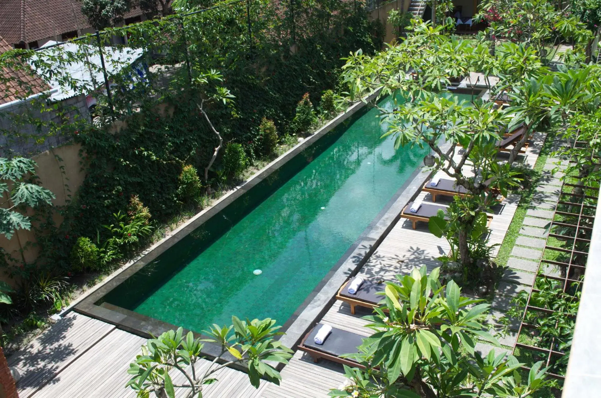 Swimming pool, Pool View in Sapodilla Ubud