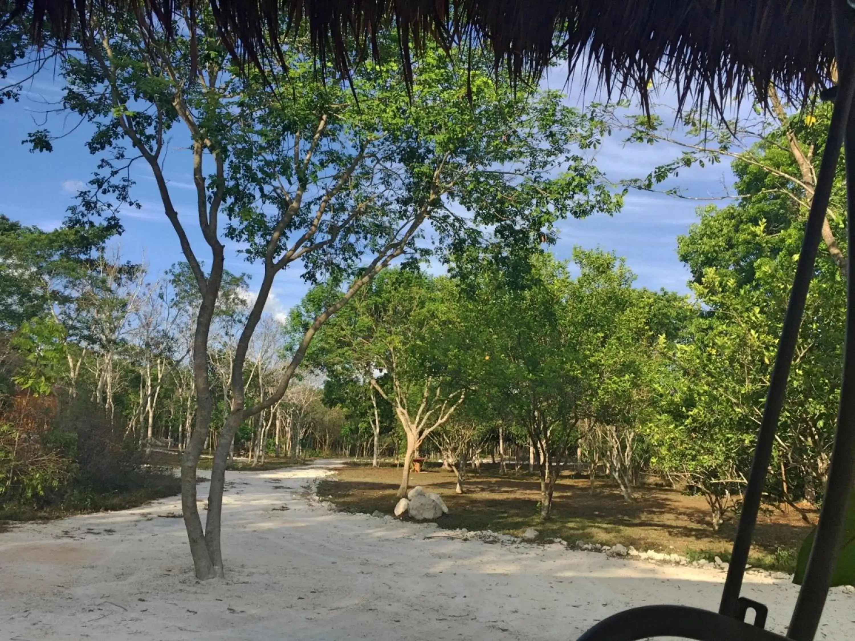 Garden view, Beach in Casa Kaan Calakmul