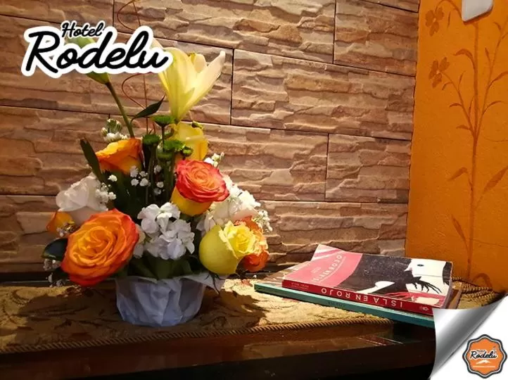 Seating area in Hotel Rodelu