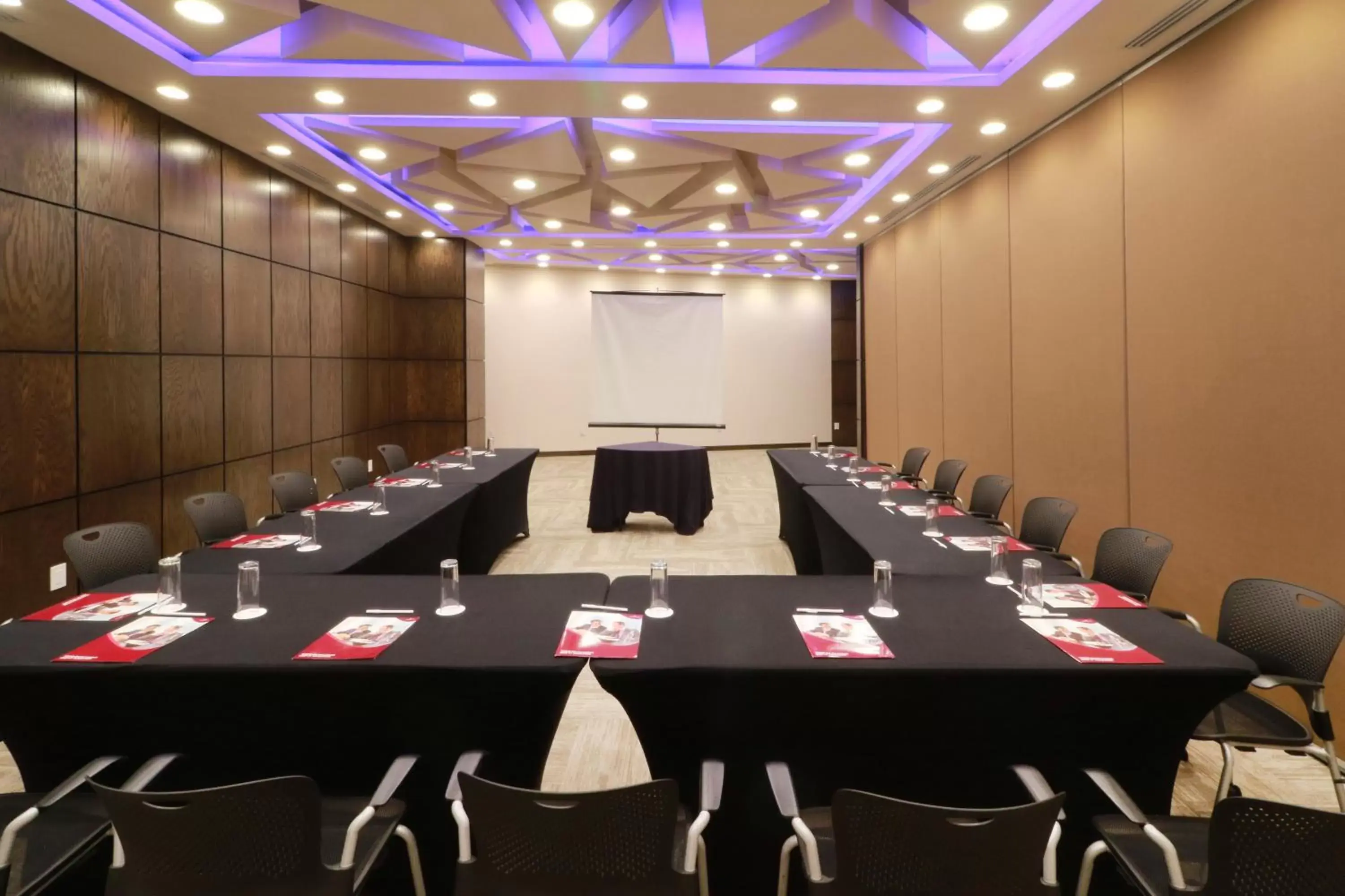 Meeting/conference room in Crowne Plaza Leon, an IHG Hotel