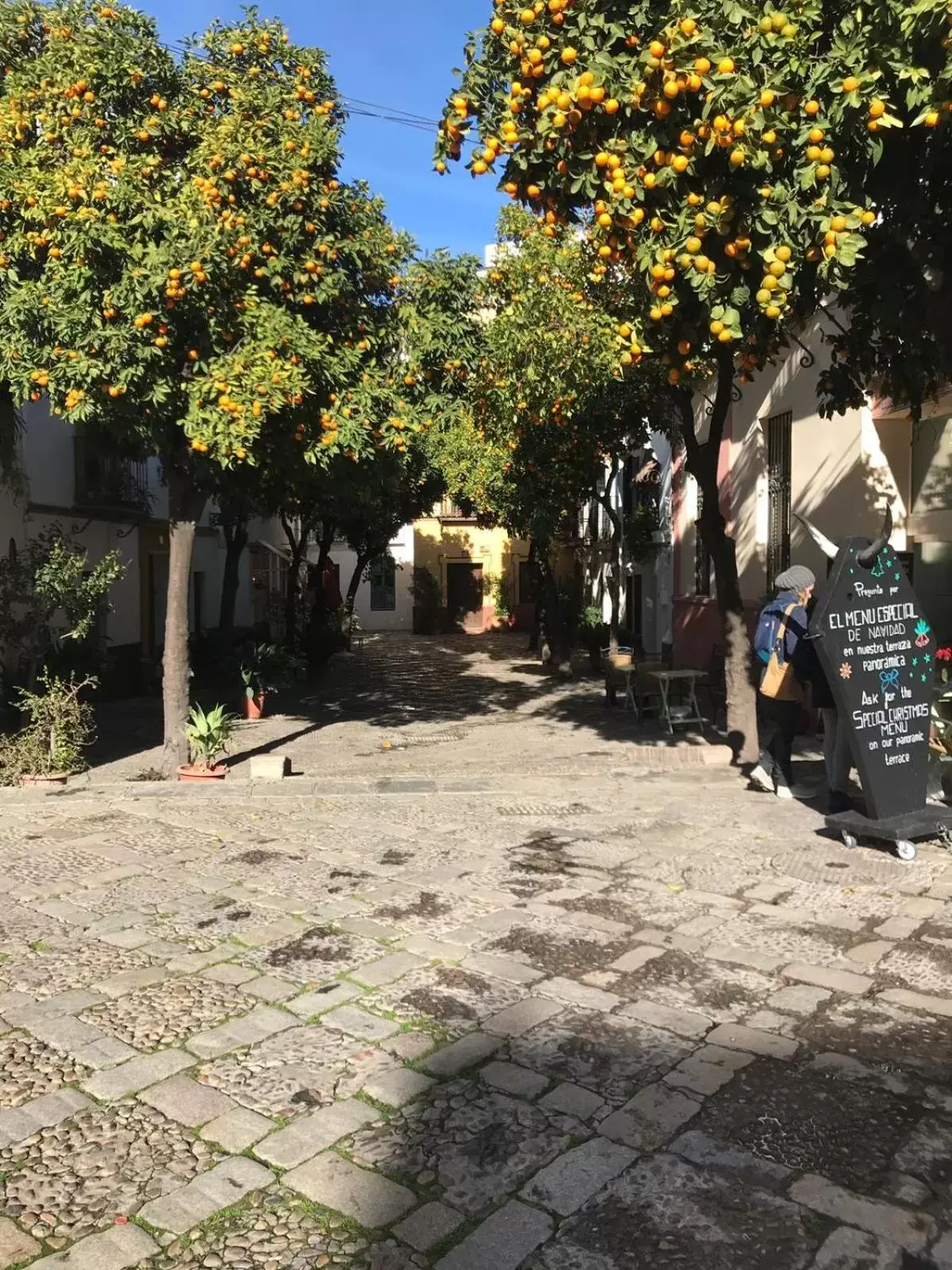 Spring in Apartamentos Flamenco B&B