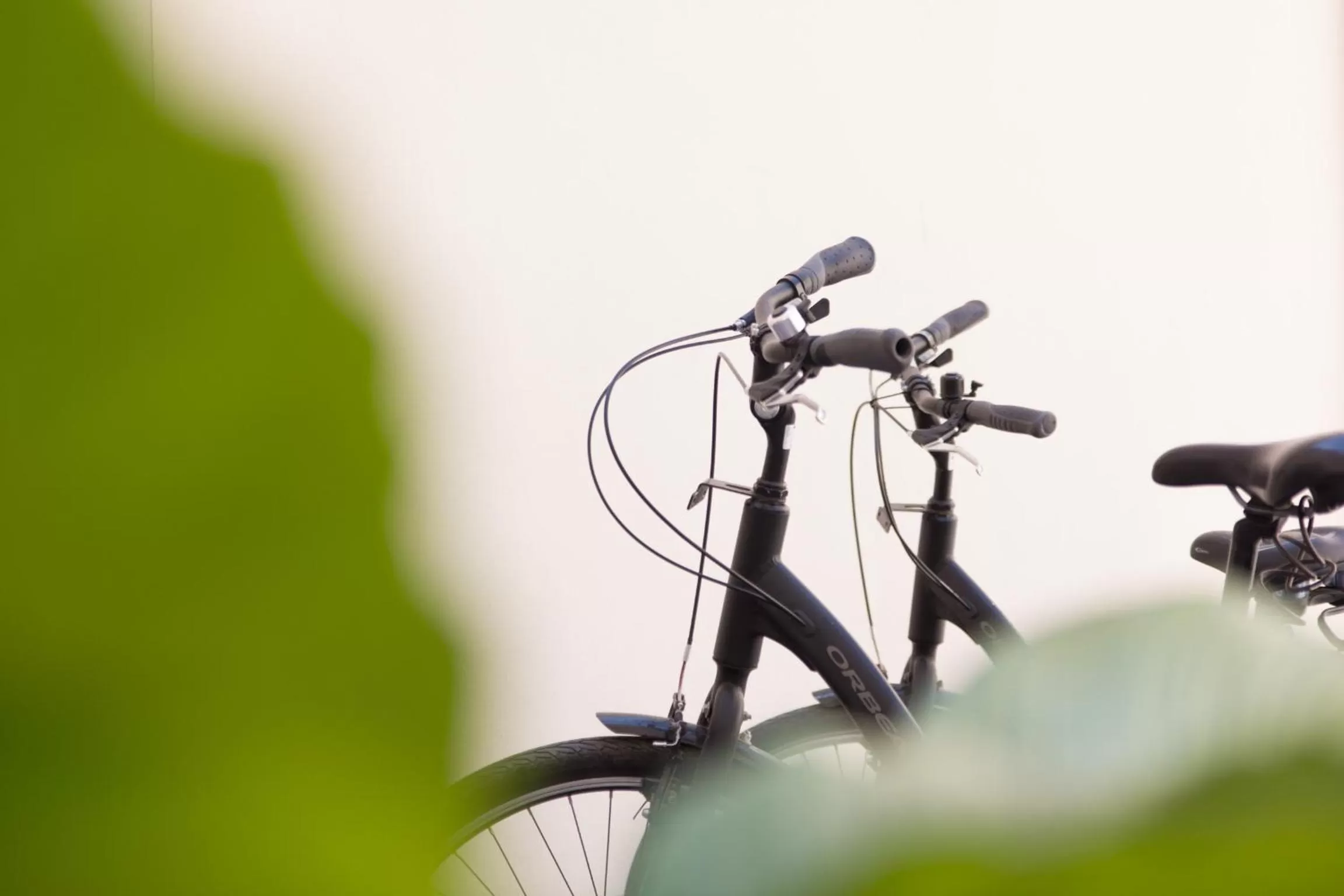Decorative detail in Soho Valencia