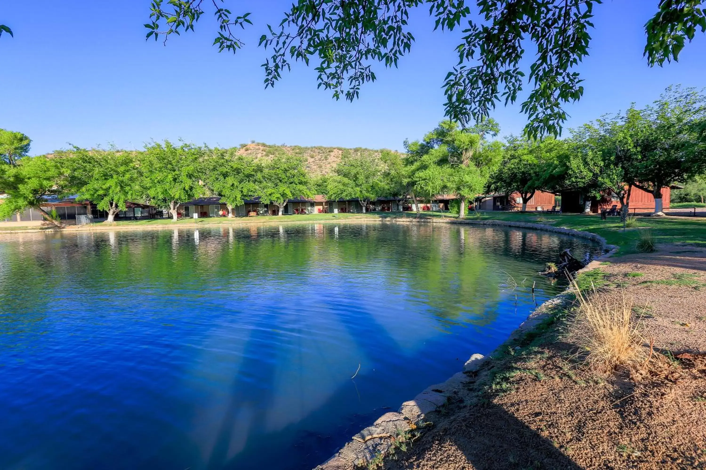 View (from property/room) in Roosevelt Resort Park