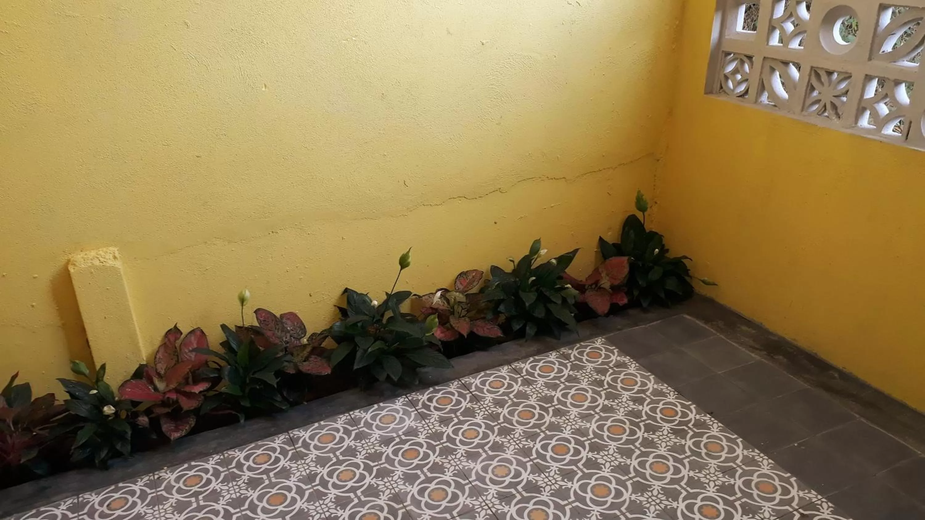 Balcony/Terrace in Pink Tulip Hoi An