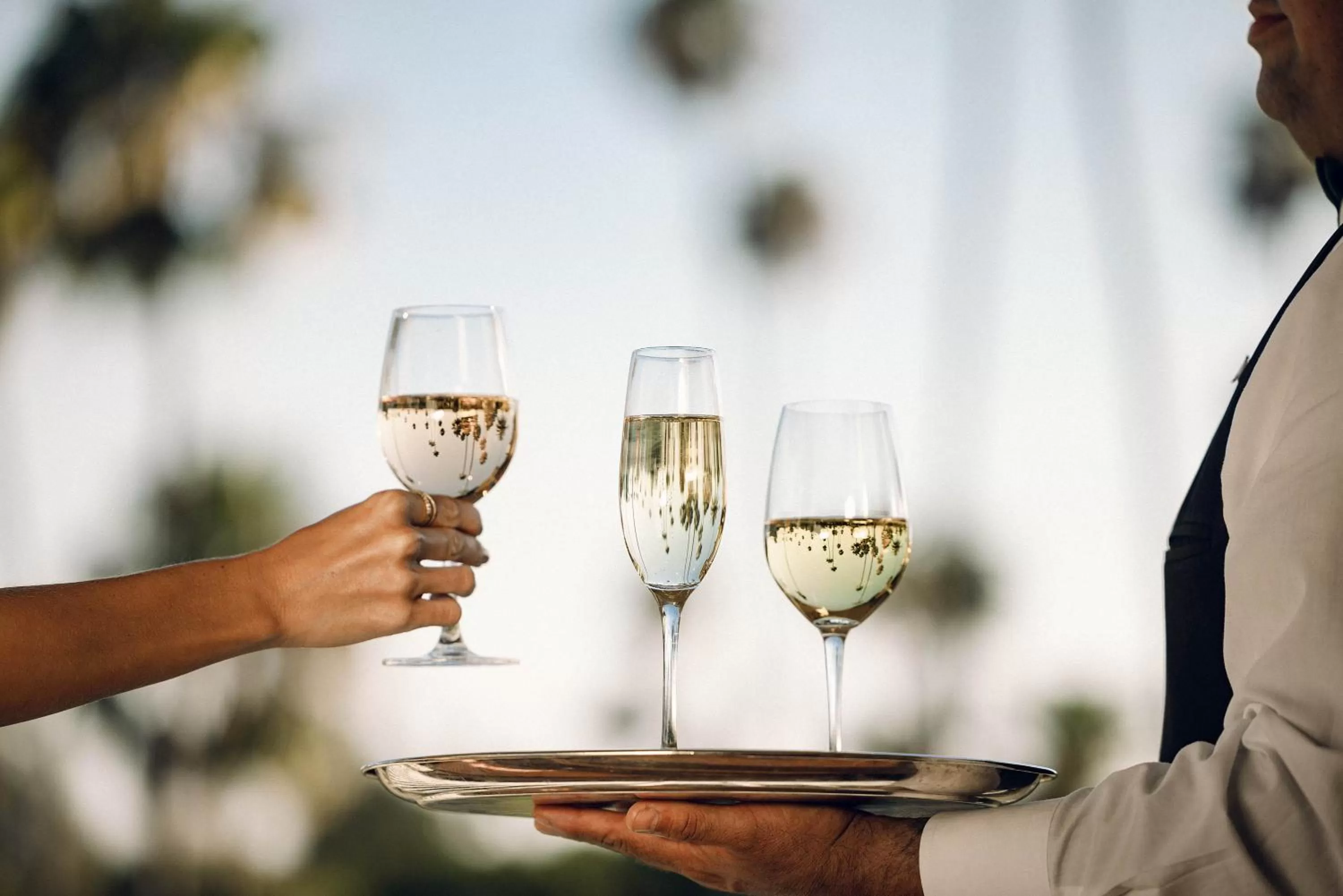 Lounge or bar in The Beverly Hills Hotel - Dorchester Collection