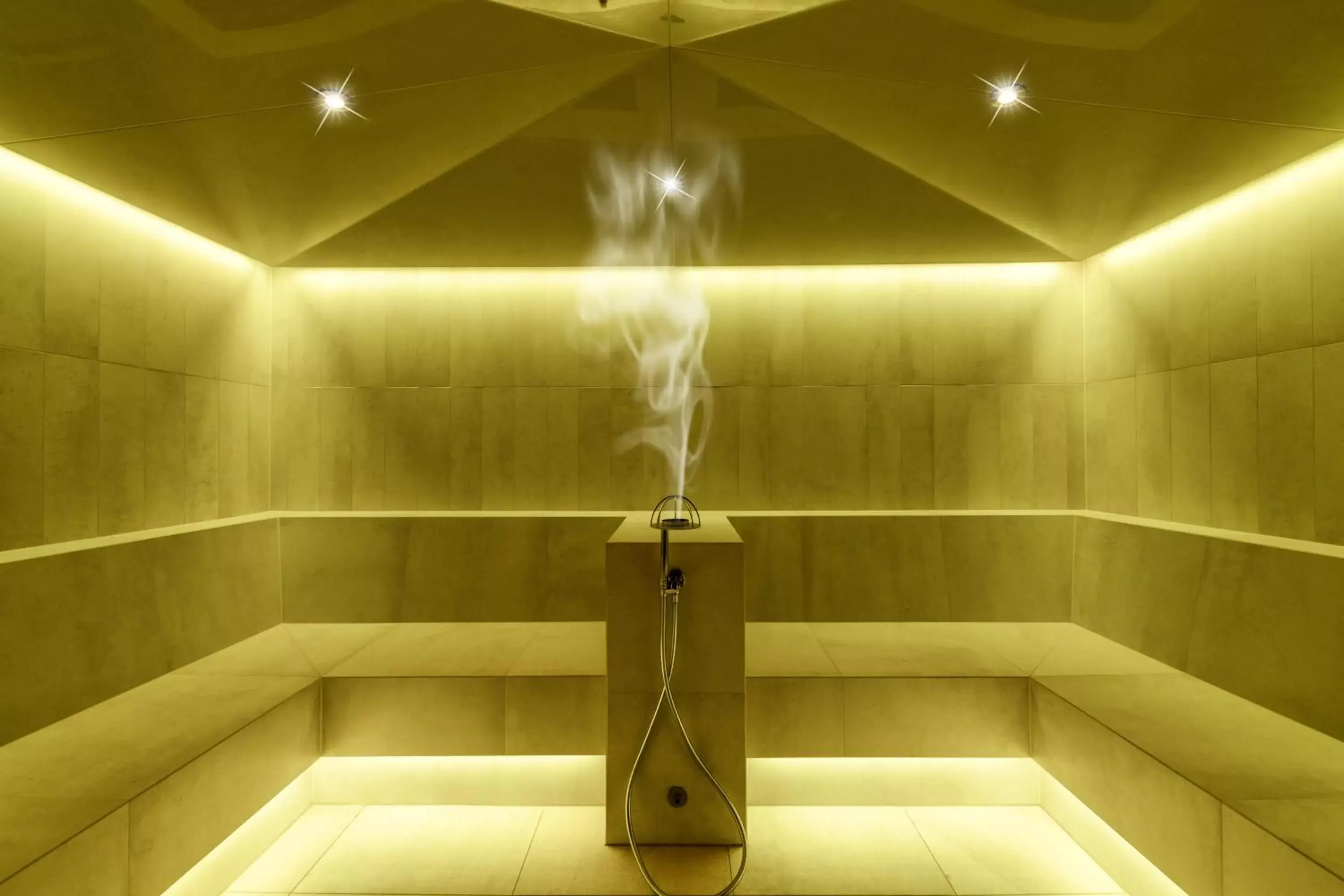 Sauna, Bathroom in Hotel Bismarck
