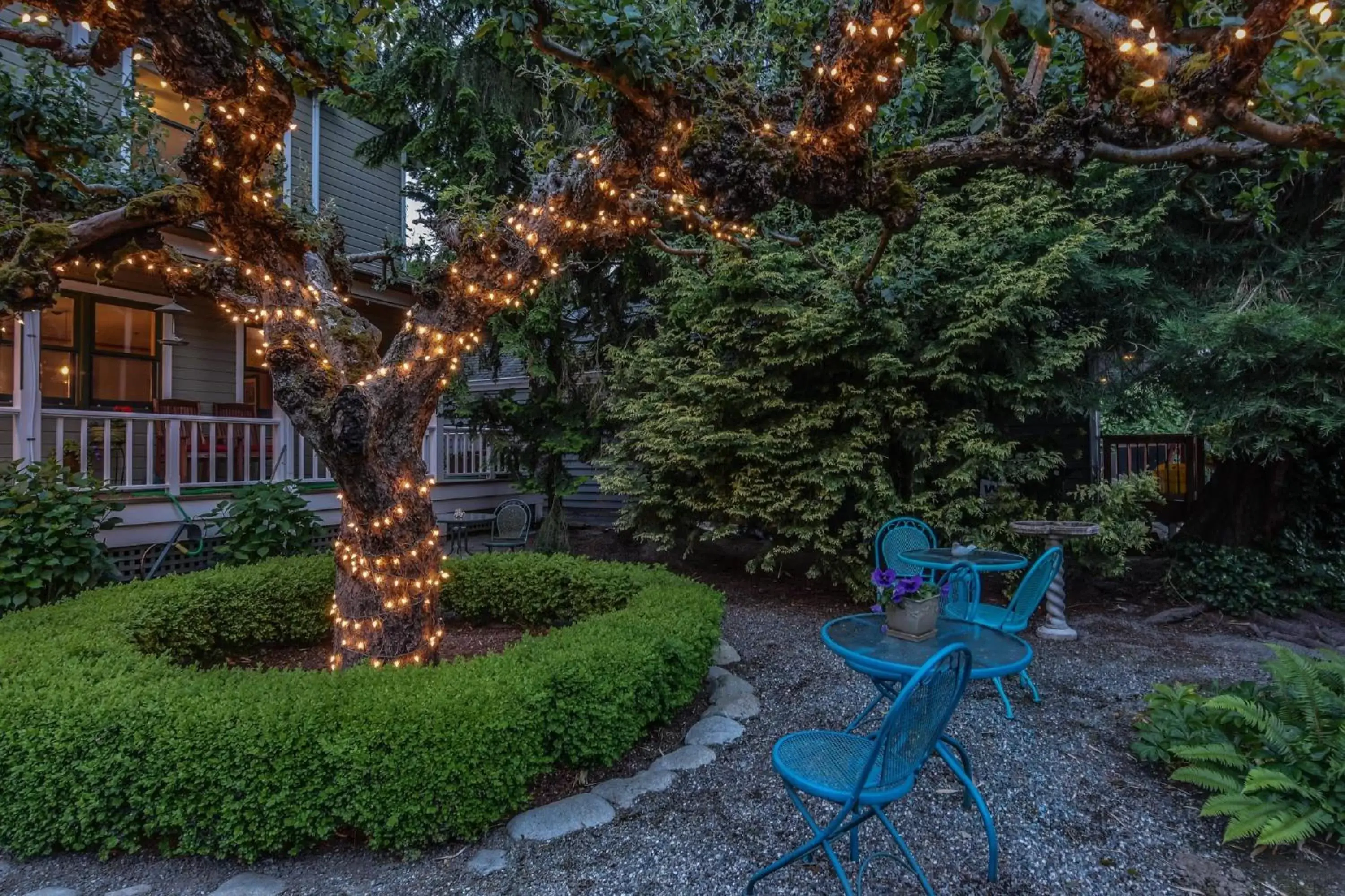 Garden, Patio/Outdoor Area in Wild Iris Inn