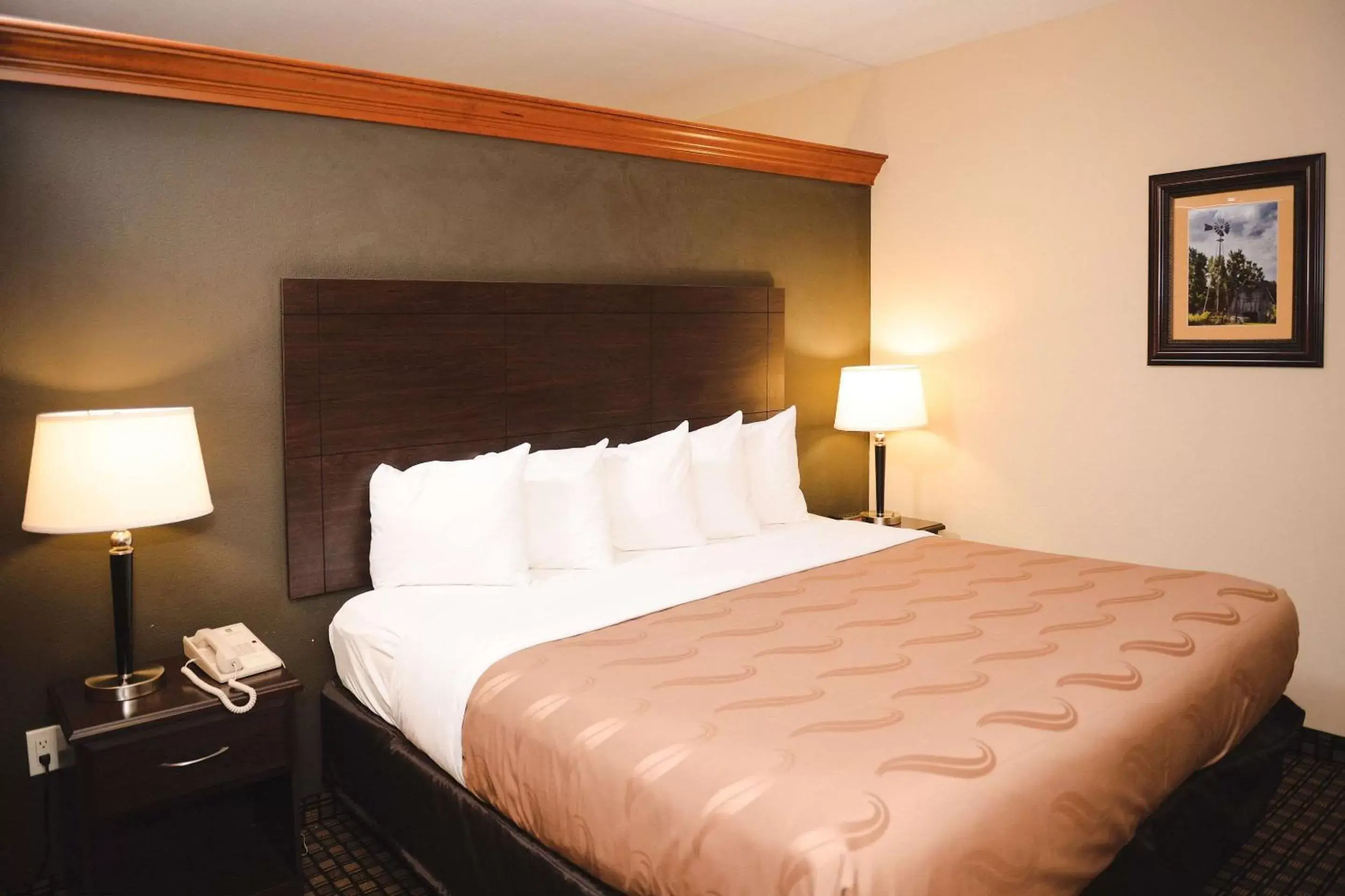 Photo of the whole room, Bed in Quality Inn & Suites Ames Conference Center Near ISU Campus