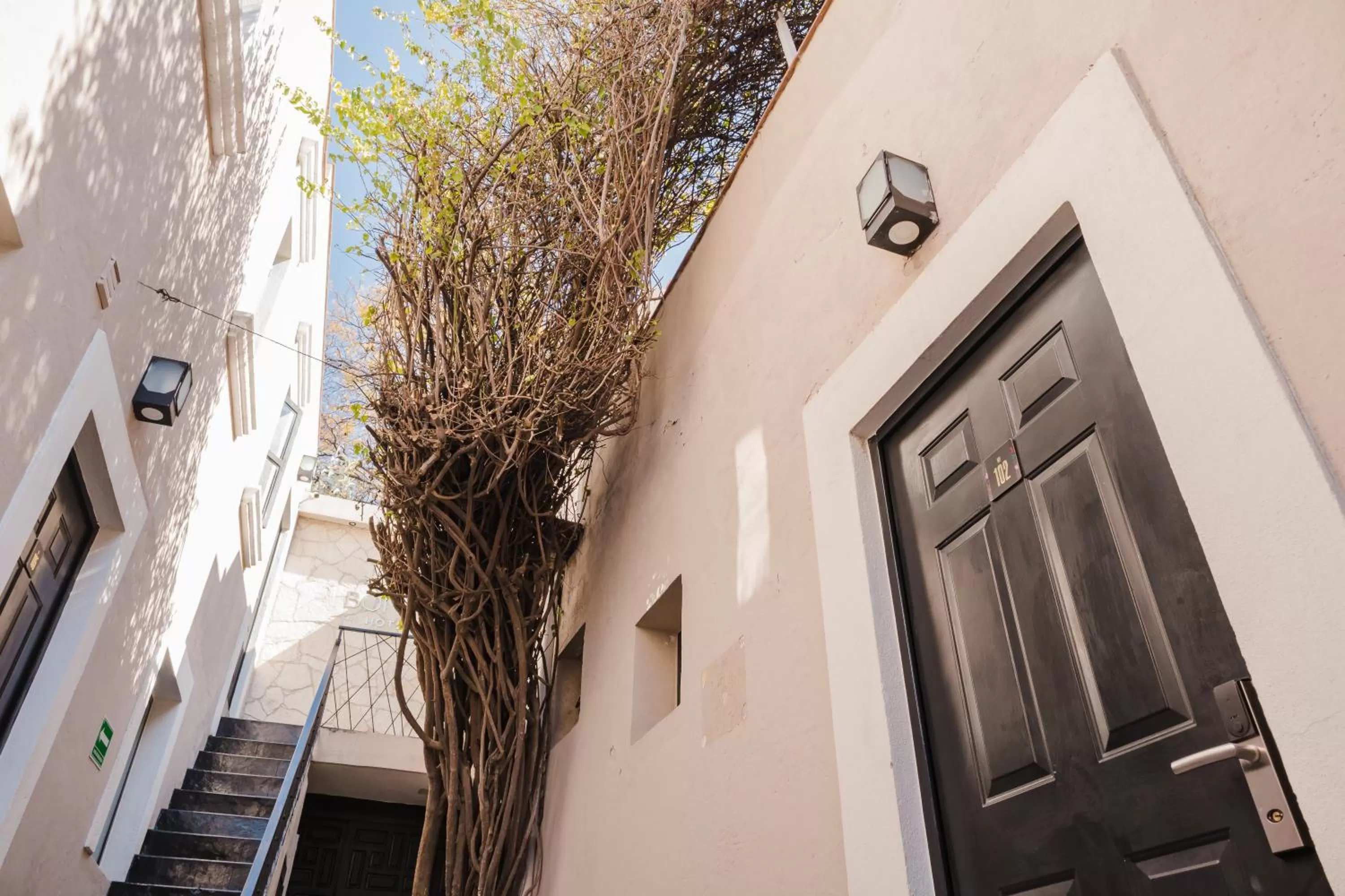 Property building in Hotel Maria Bonita