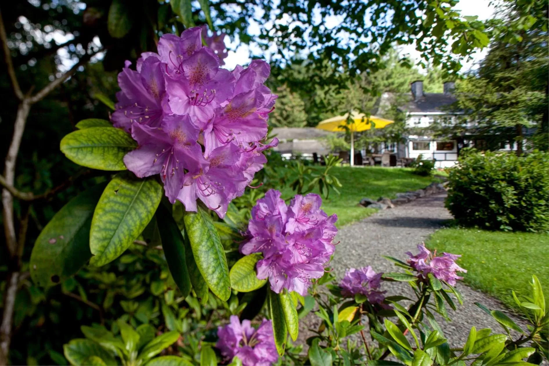 Garden in Romantik Hotel Stryckhaus