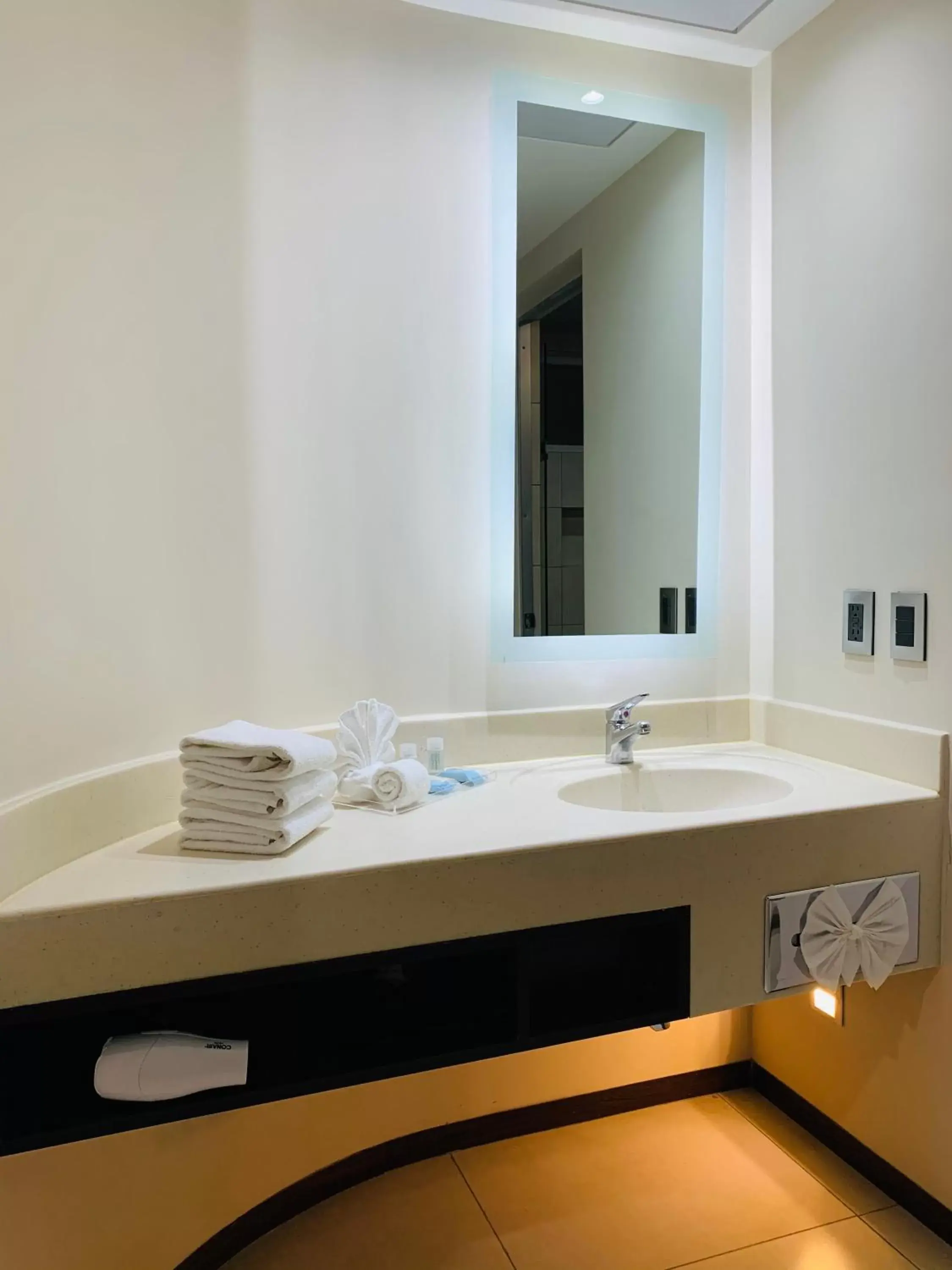 Bathroom in Holiday Inn Express - Mexico Basilica, an IHG Hotel