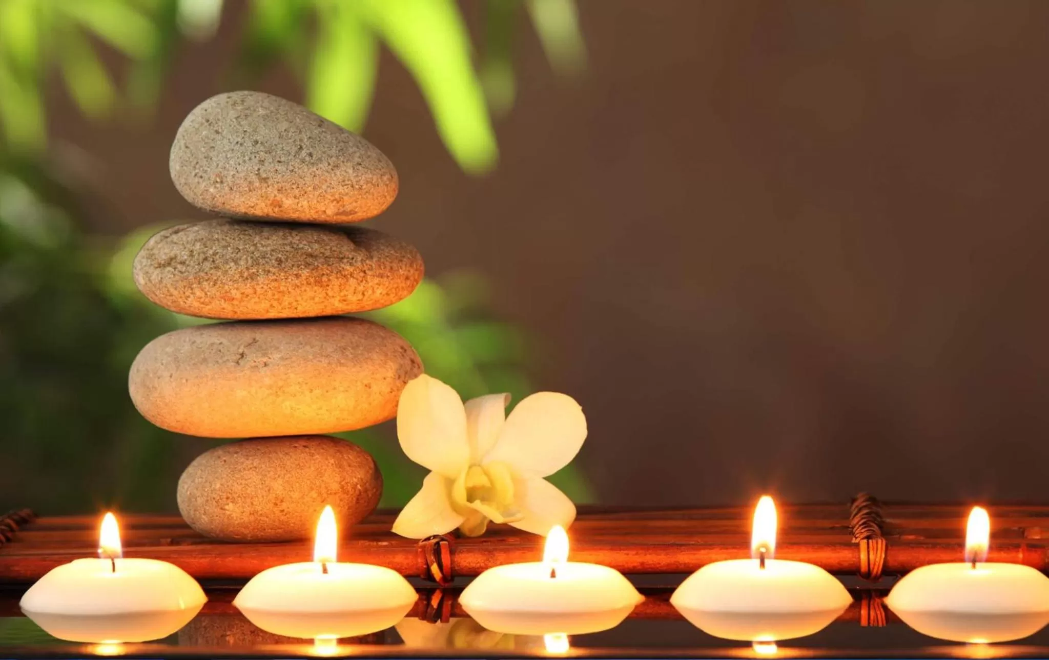 Sauna in DHTS Business Hotel & Apartment