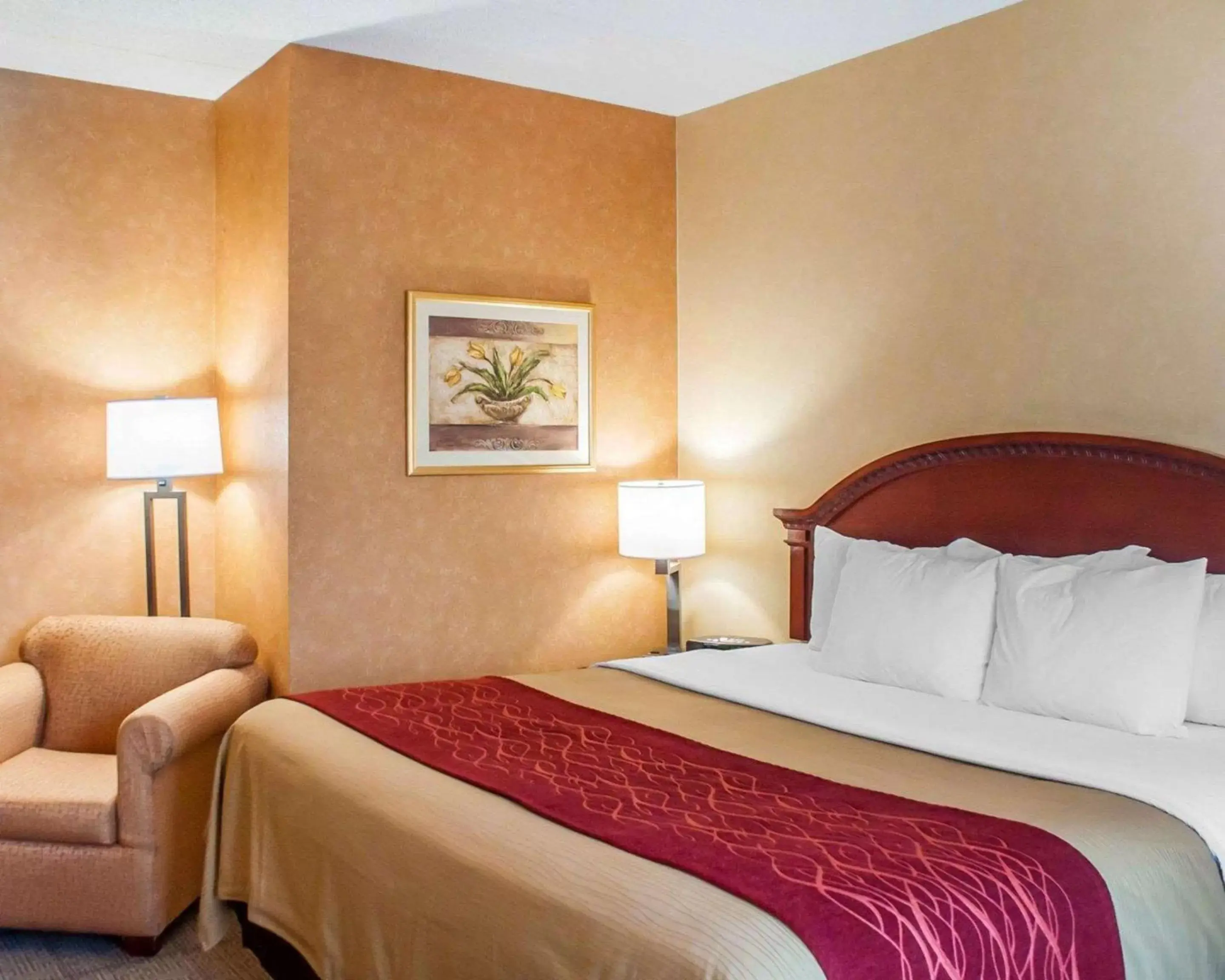 Photo of the whole room, Bed in Quality Inn Near Walden Galleria Mall