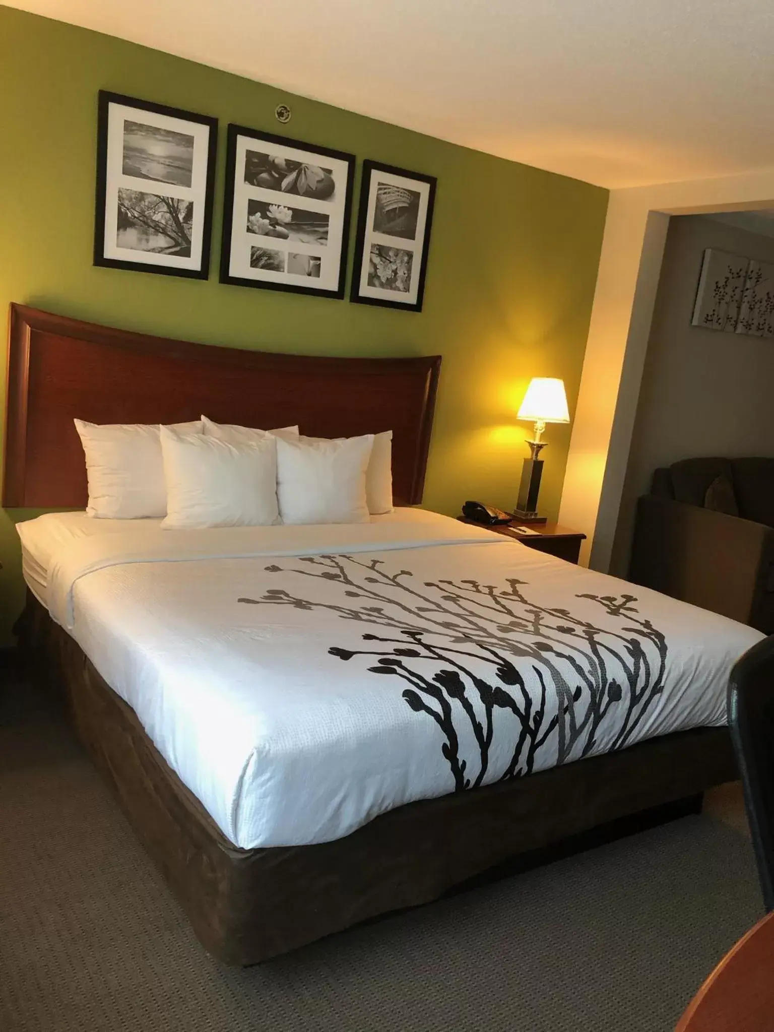 Bed in Sleep Inn & Suites Laurel near Fort Meade Bed in Sleep Inn & Suites Laurel near Fort Meade