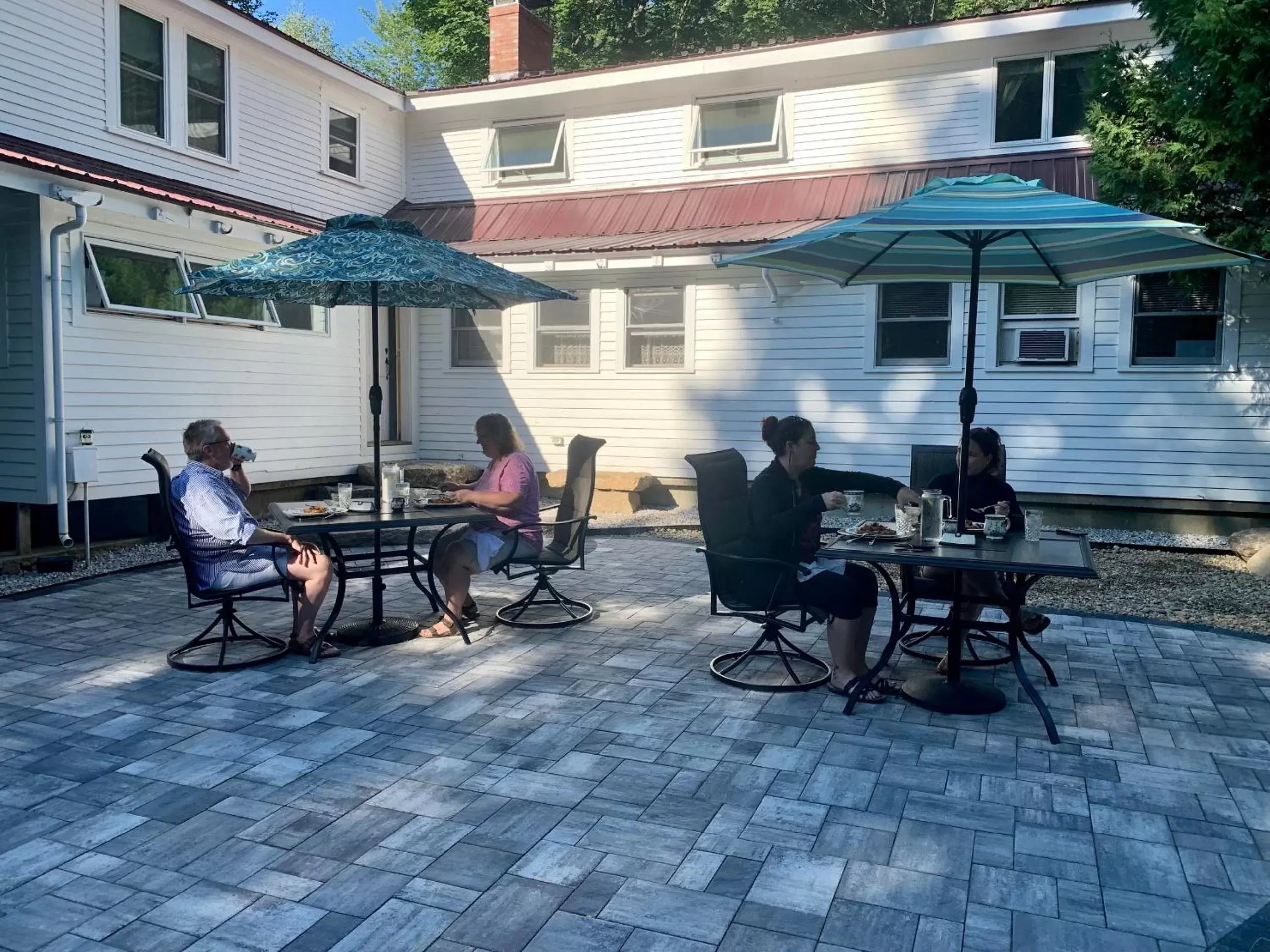 Garden in Buttonwood Inn on Mount Surprise