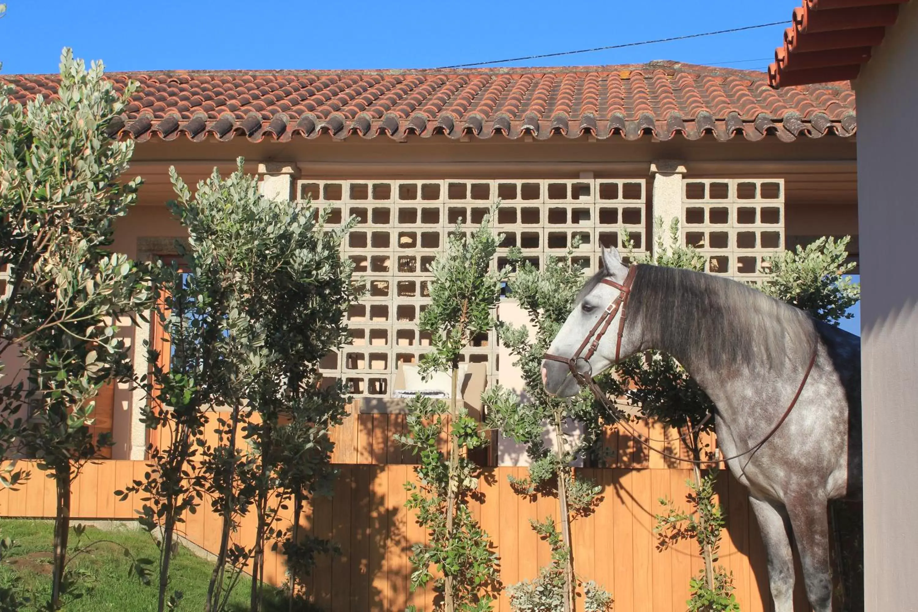 Property building, Other Animals in NHôme Country Living