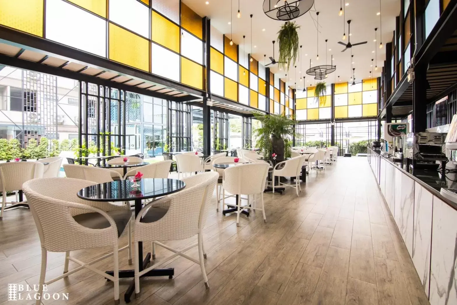 Restaurant/places to eat in Blue Lagoon Hotel Restaurant/places to eat in Blue Lagoon Hotel