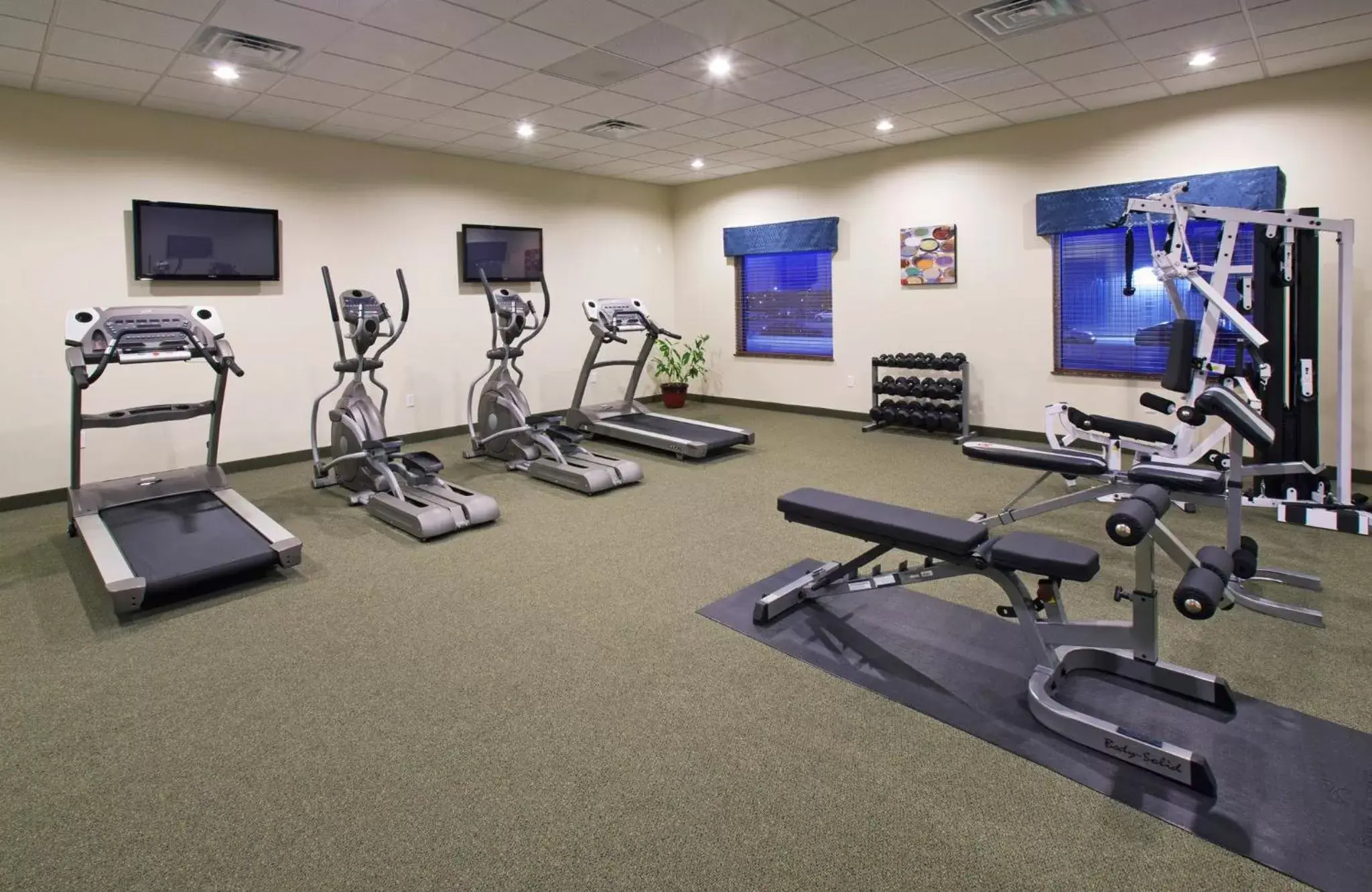 Fitness centre/facilities, Fitness Center/Facilities in Holiday Inn Lincoln Southwest, an IHG Hotel