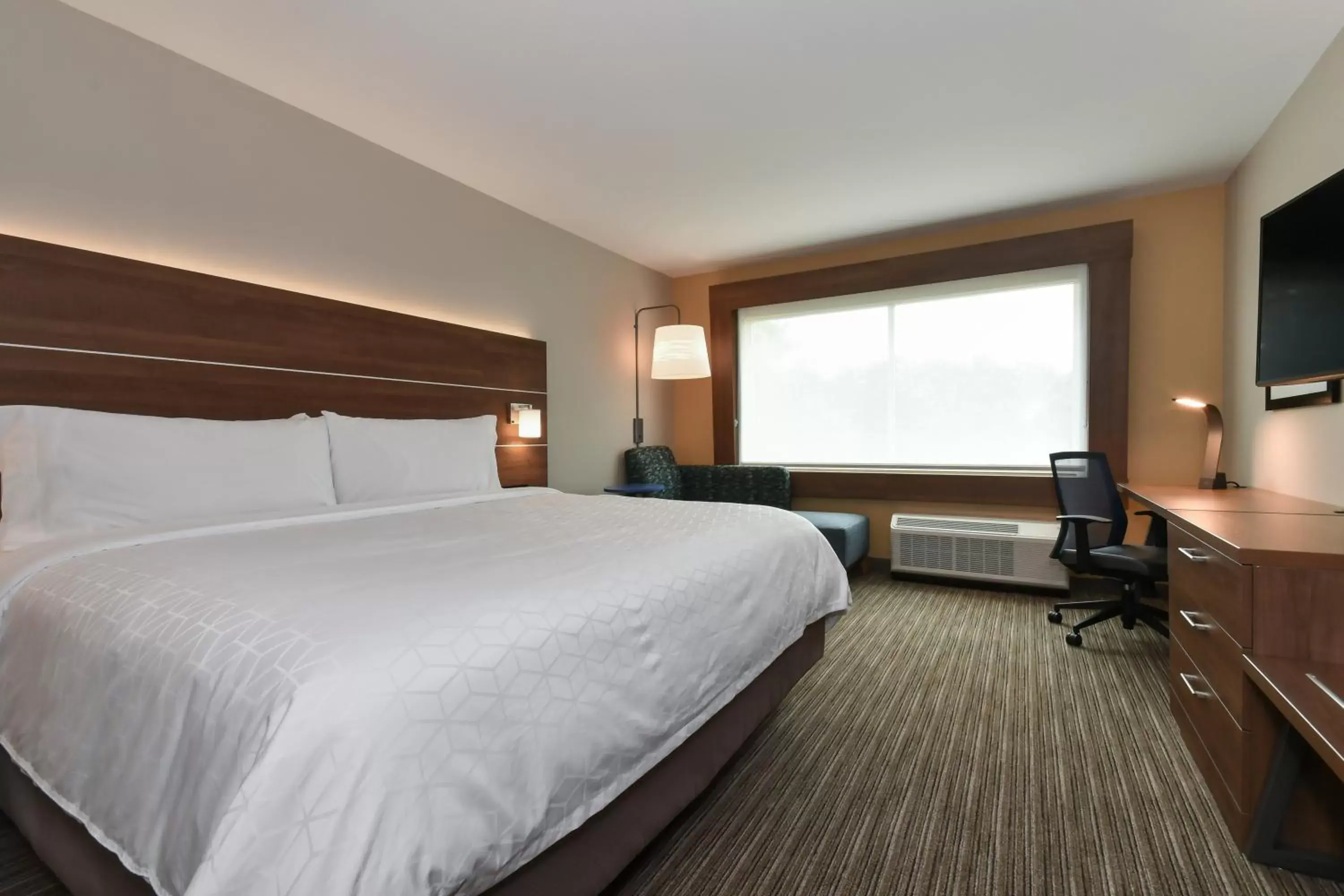 King Suite - Non-Smoking in Holiday Inn Express & Suites Charlotte - Ballantyne, an IHG Hotel