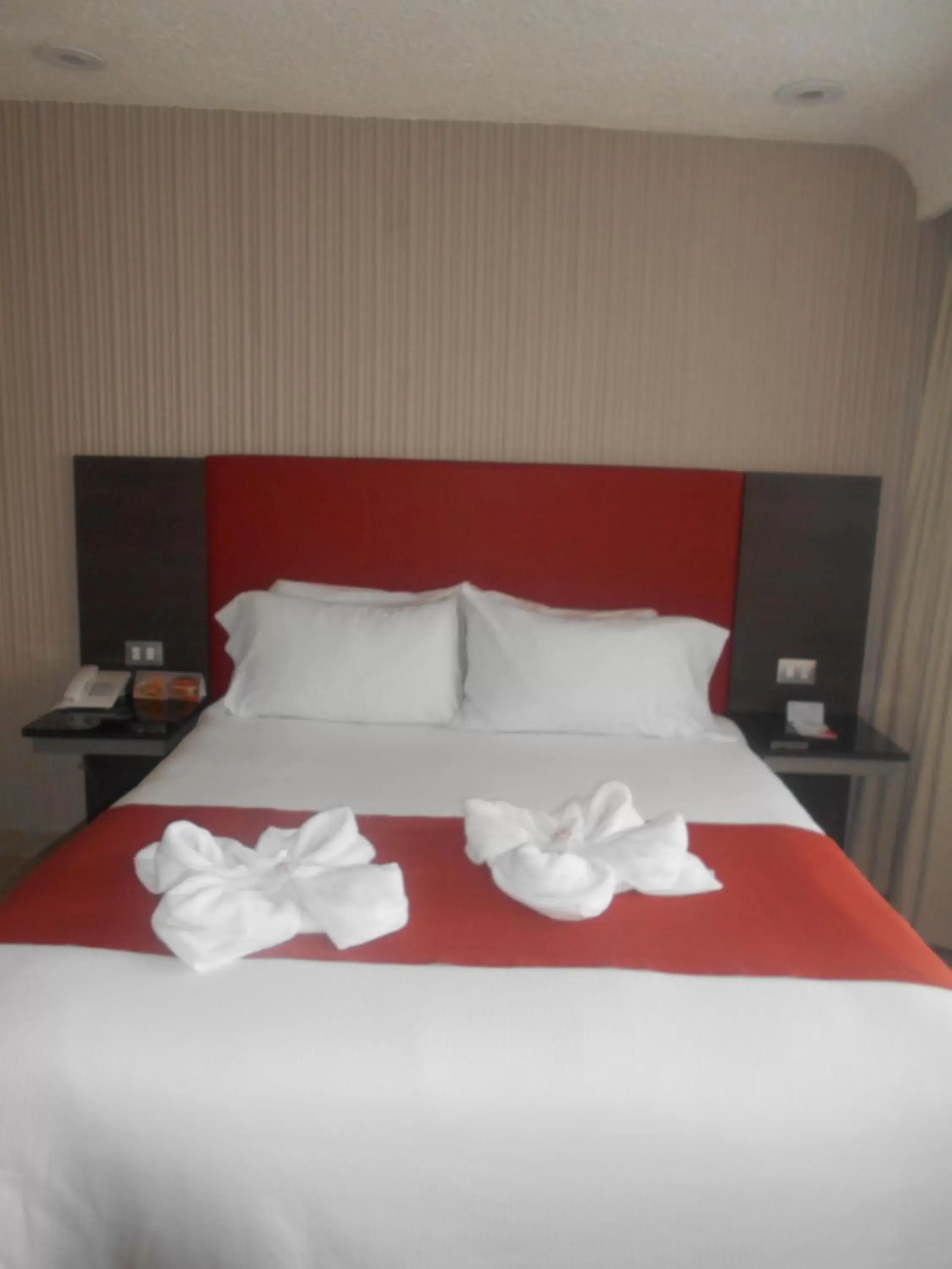 Bed in Hotel Puente Real