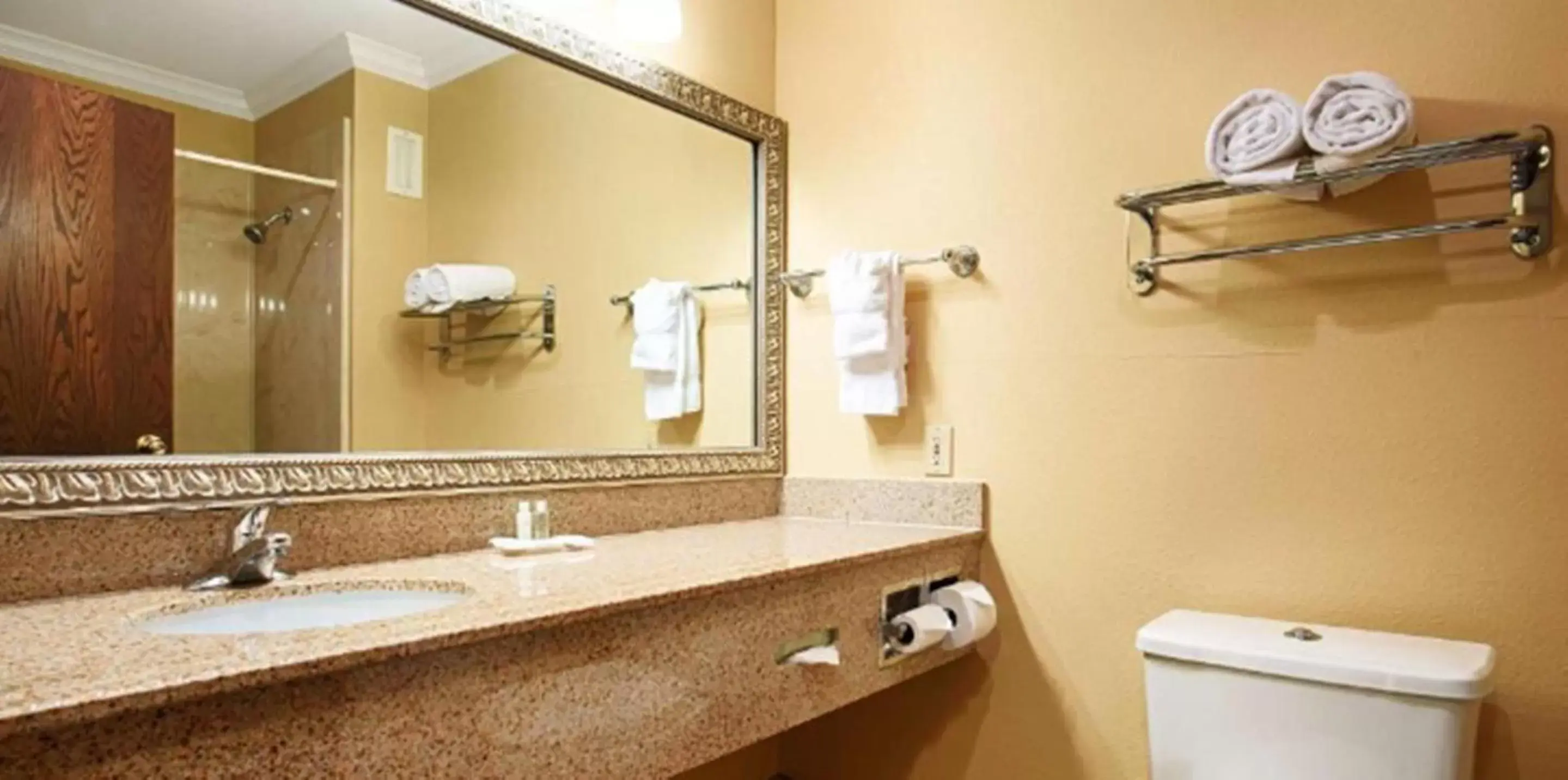 Bathroom in Best Western Plus Southpark Inn & Suites