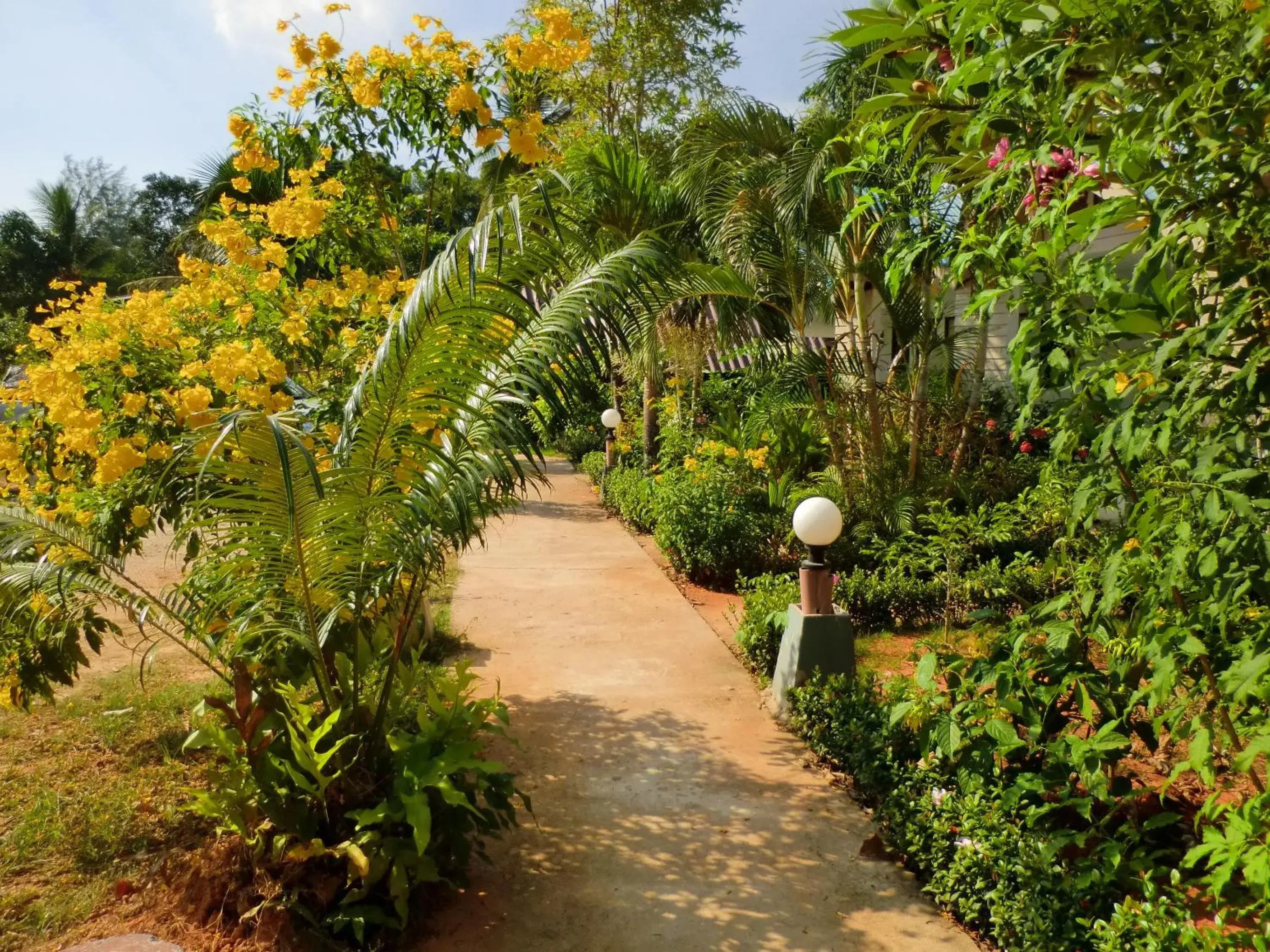 Garden in The Krabi Forest Homestay