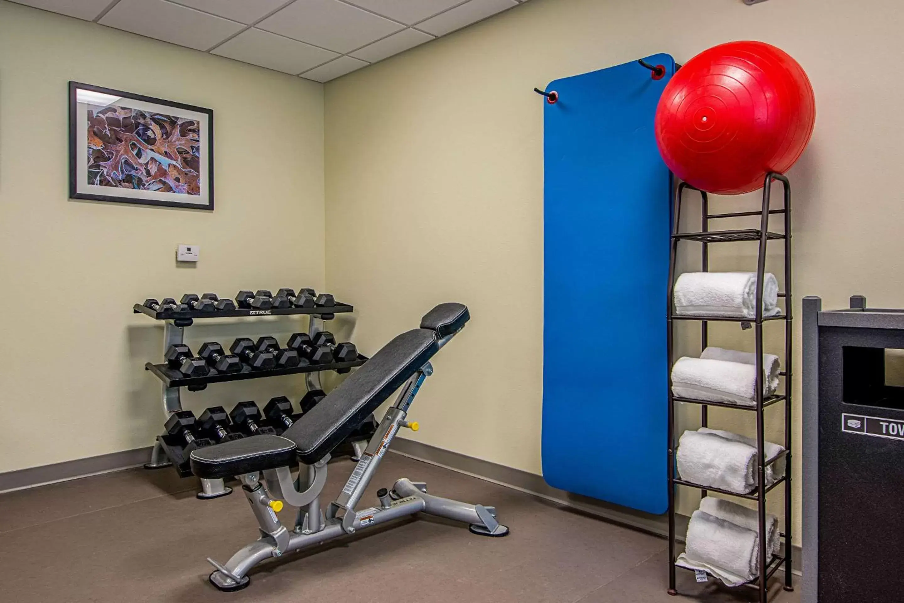 Fitness centre/facilities, Fitness Center/Facilities in Sleep Inn Geismar - Gonzales