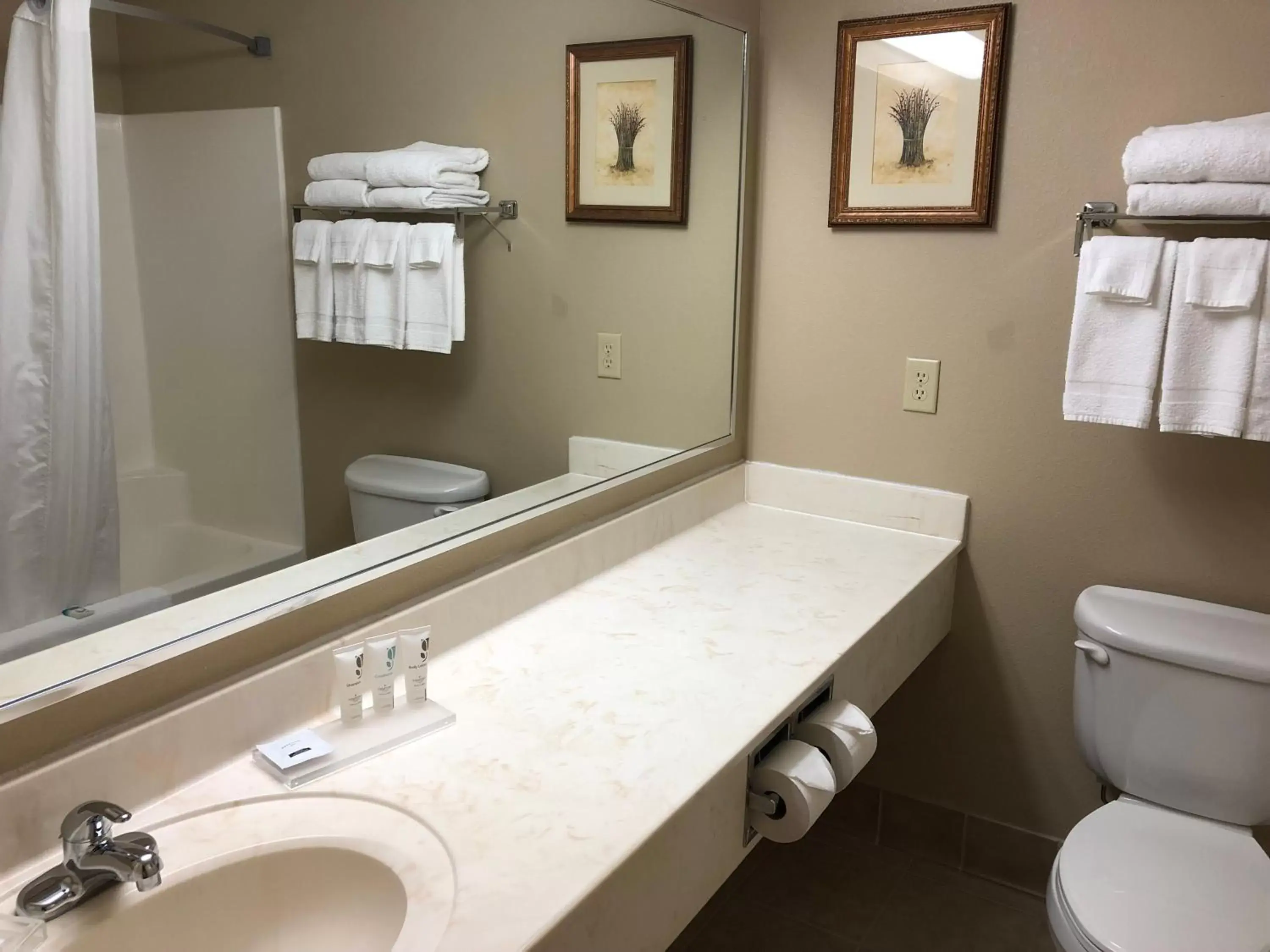 Bathroom in AmericInn by Wyndham Iron Mountain