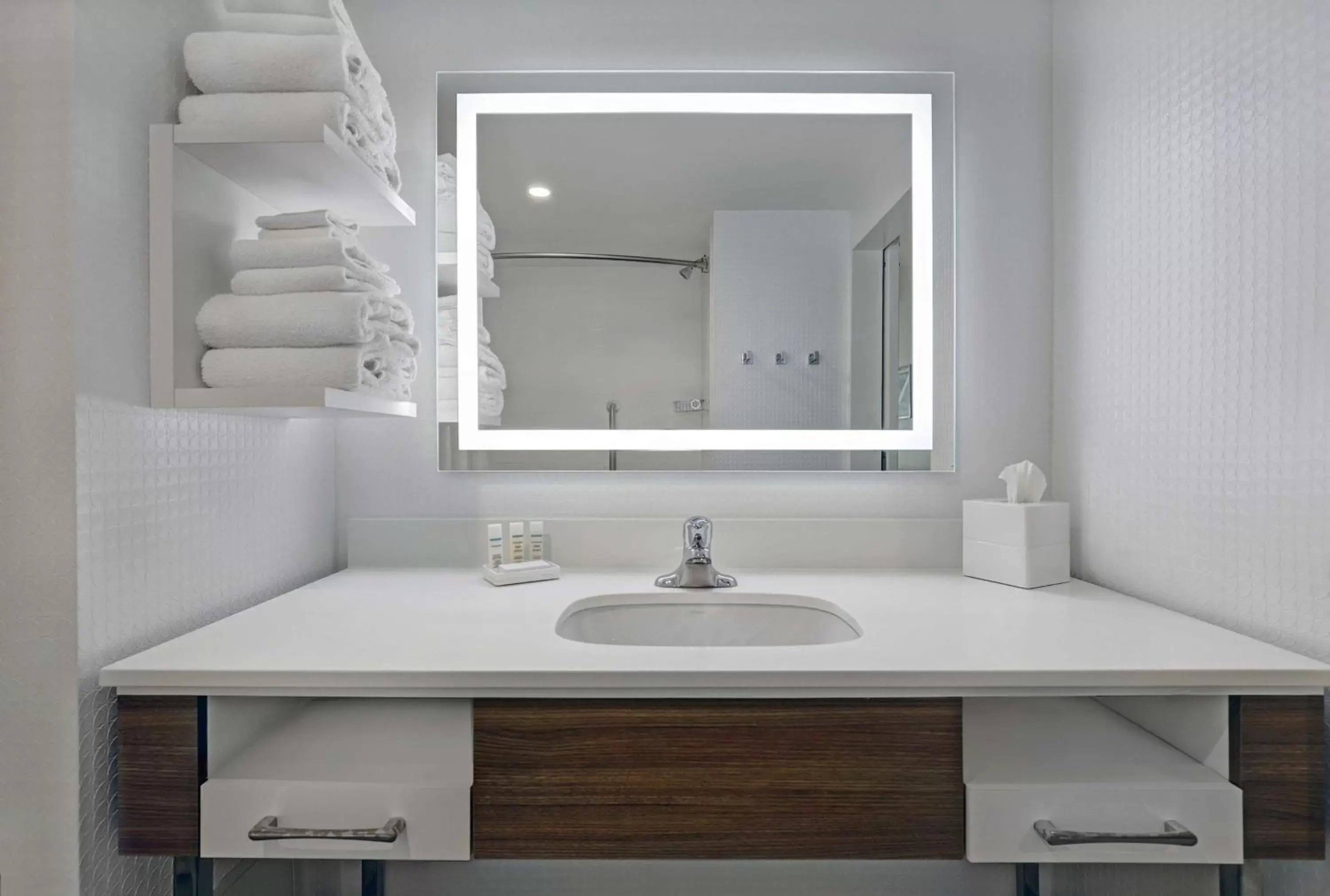 Bathroom in Hampton Inn & Suites Belleville Bathroom in Hampton Inn & Suites Belleville