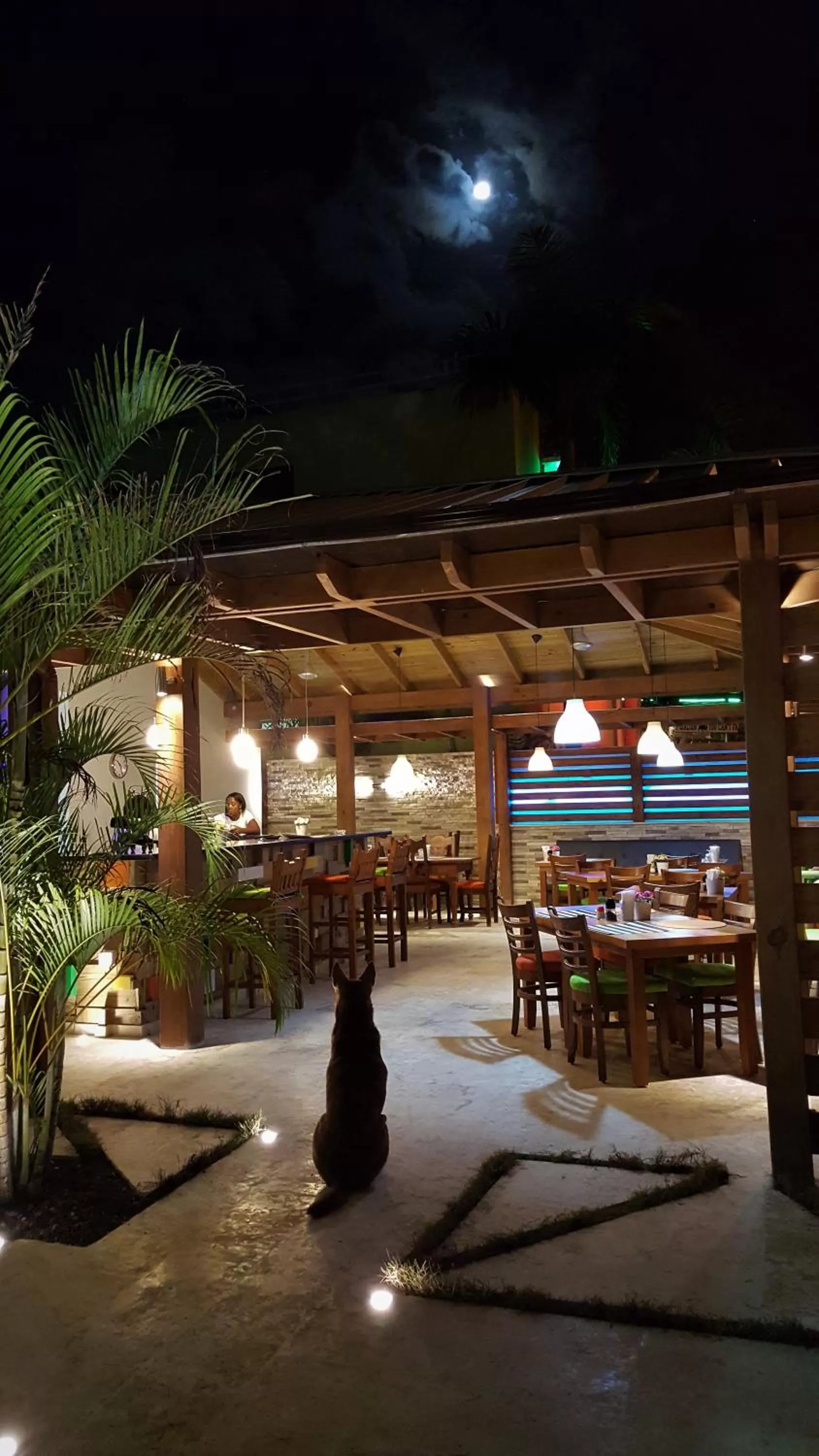 Patio in Casa Valeria Boutique Hotel