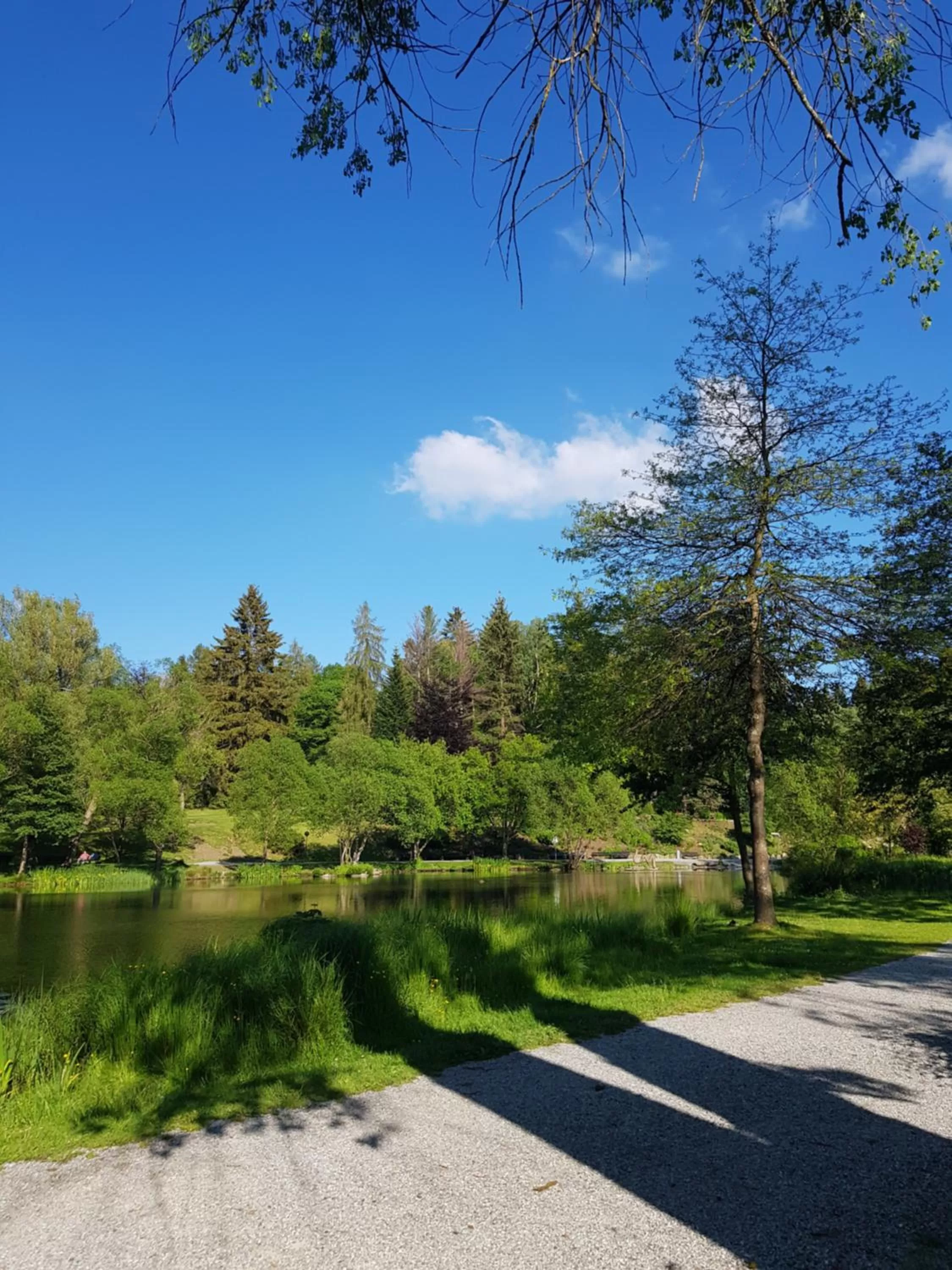 Natural landscape in Hotel Elisabeth-Ilse