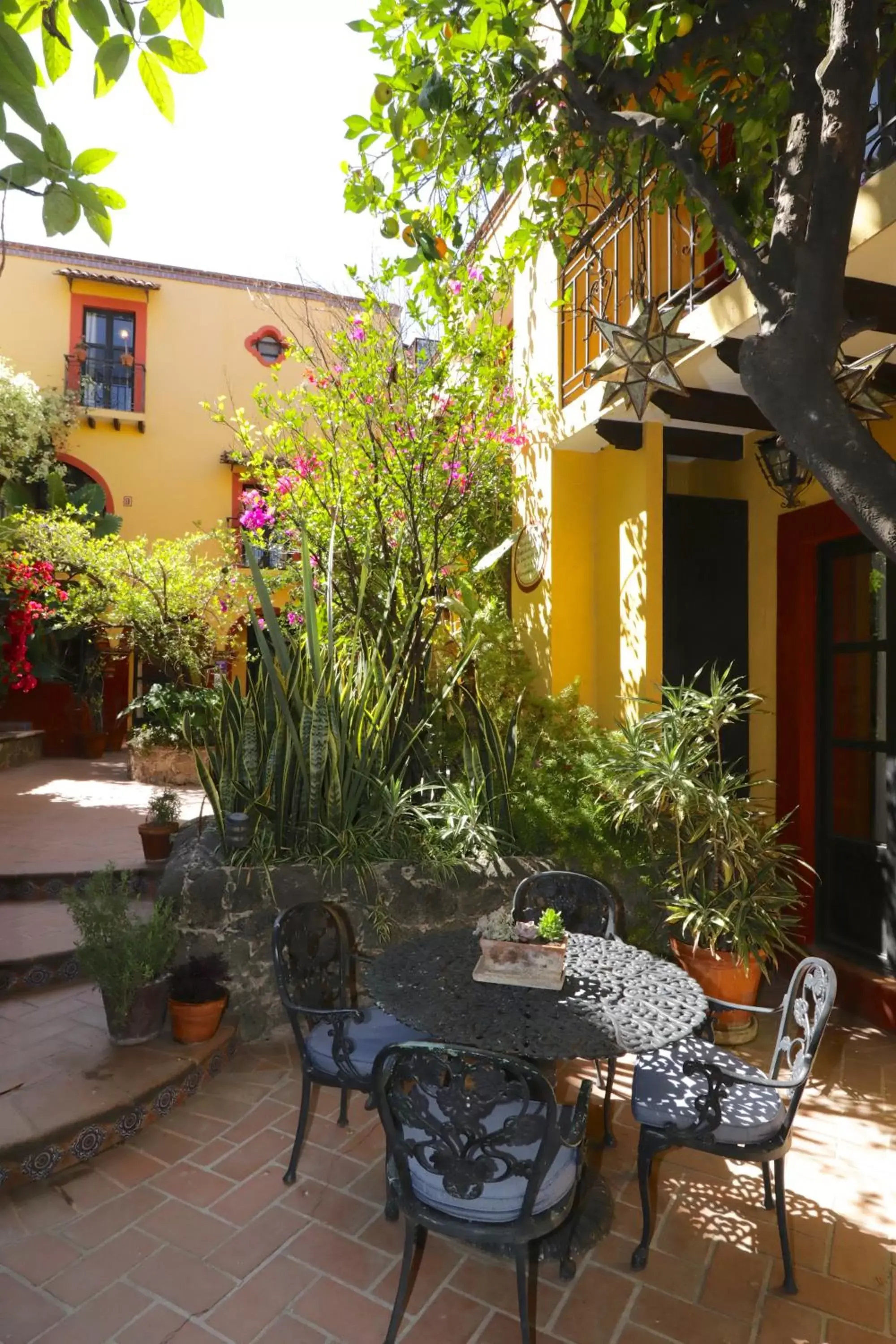 Patio in Casa Mia Suites