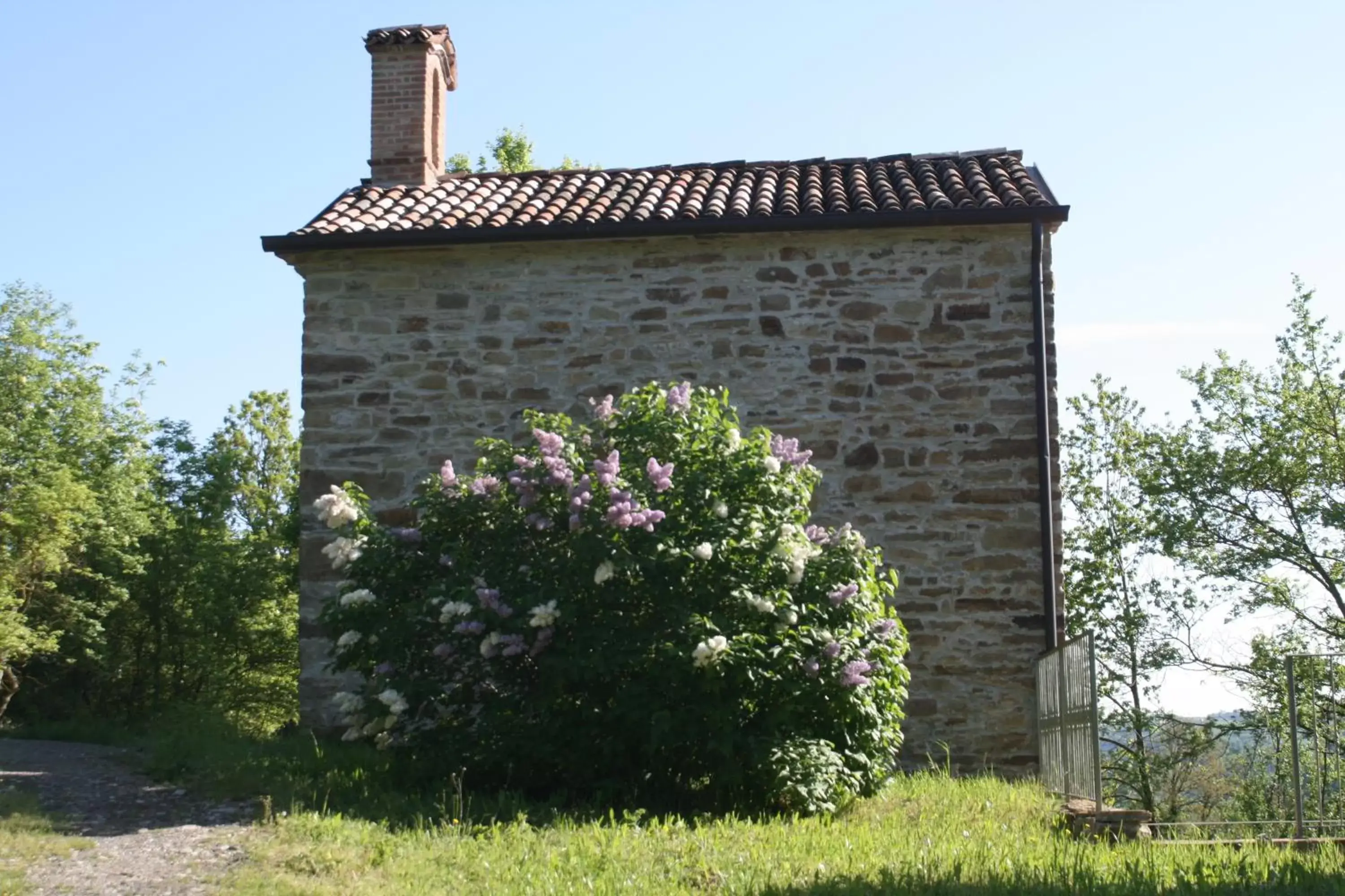 Spring, Property Building in SacreTerre B&B e Agriturismo