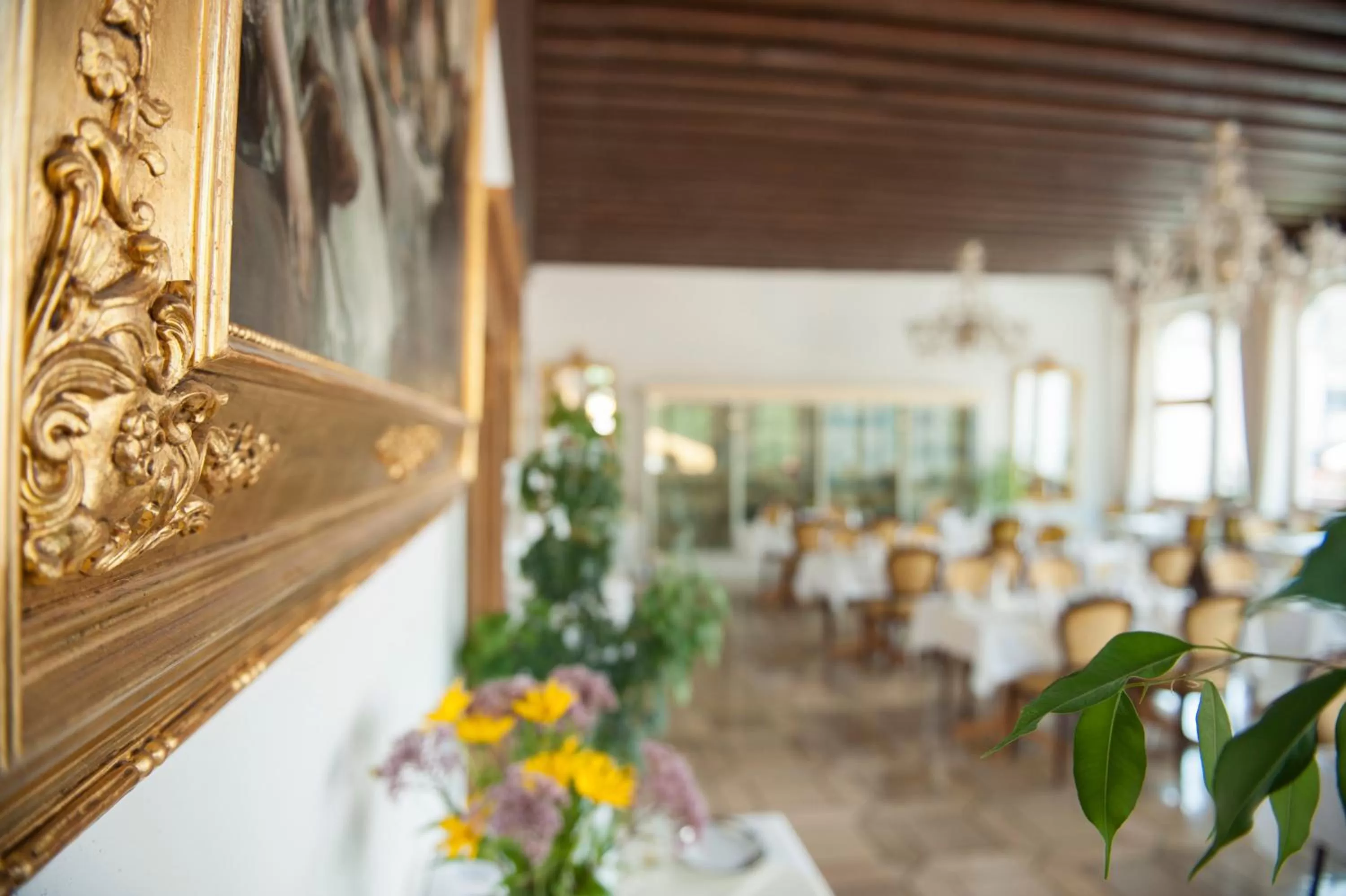 Restaurant/places to eat in Hotel Wilder Mann