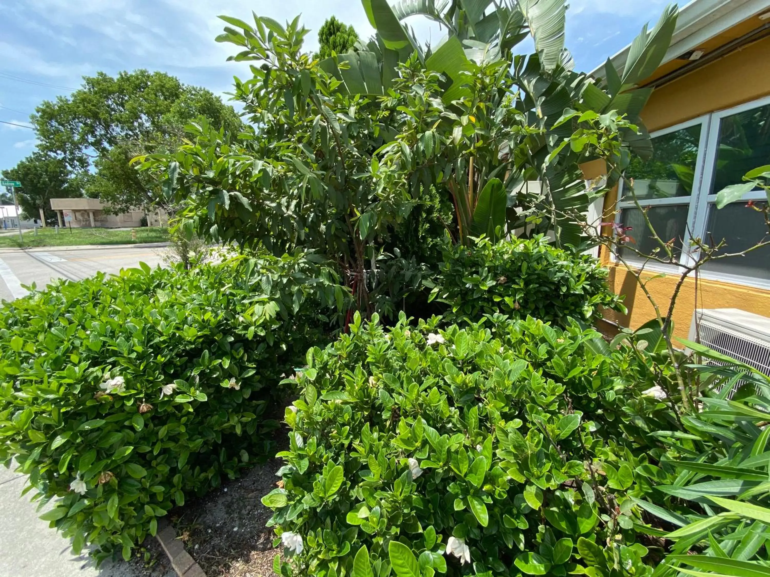 Garden in Glades Motel - Naples