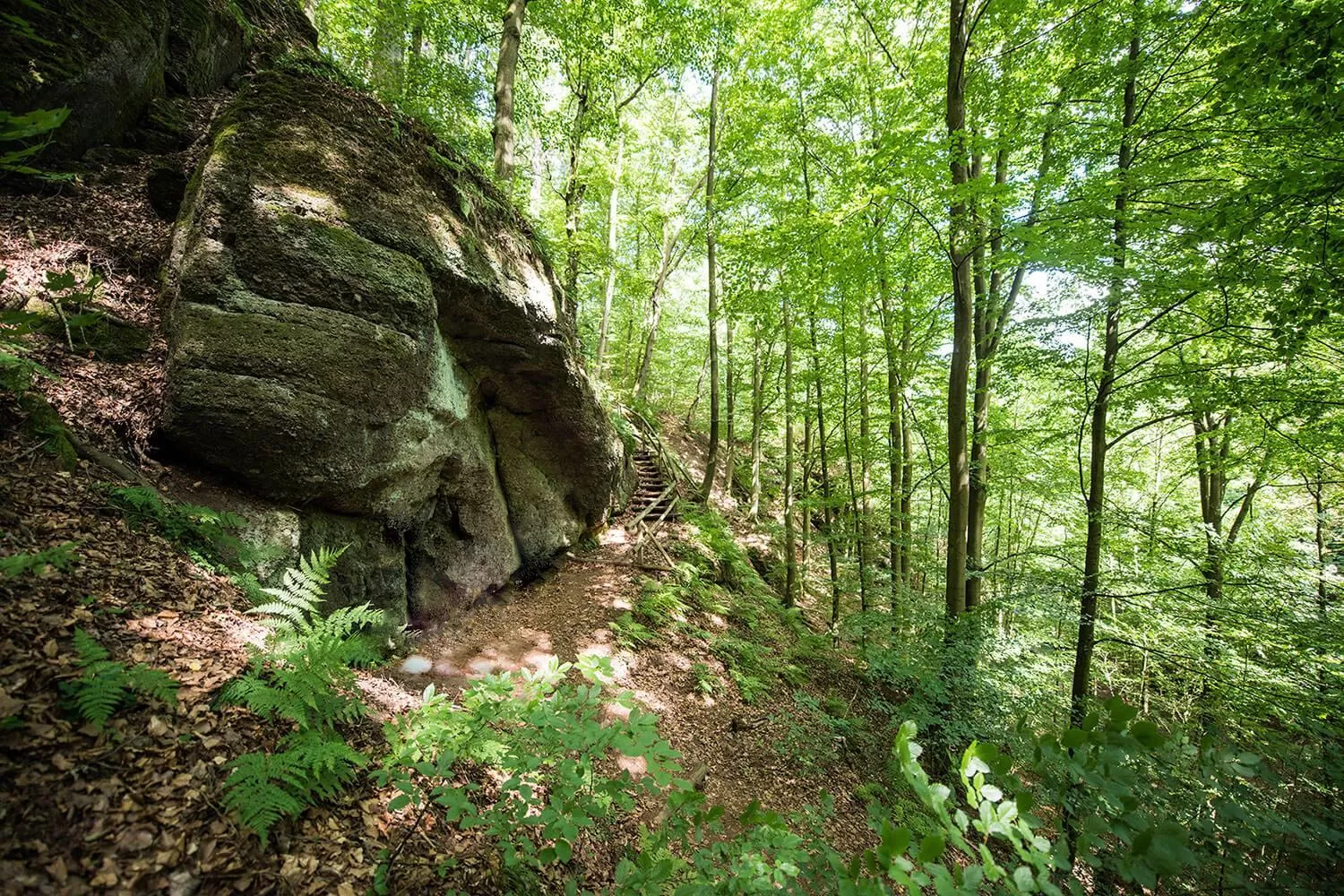 Spring in Suites MITTE - Aparthotel