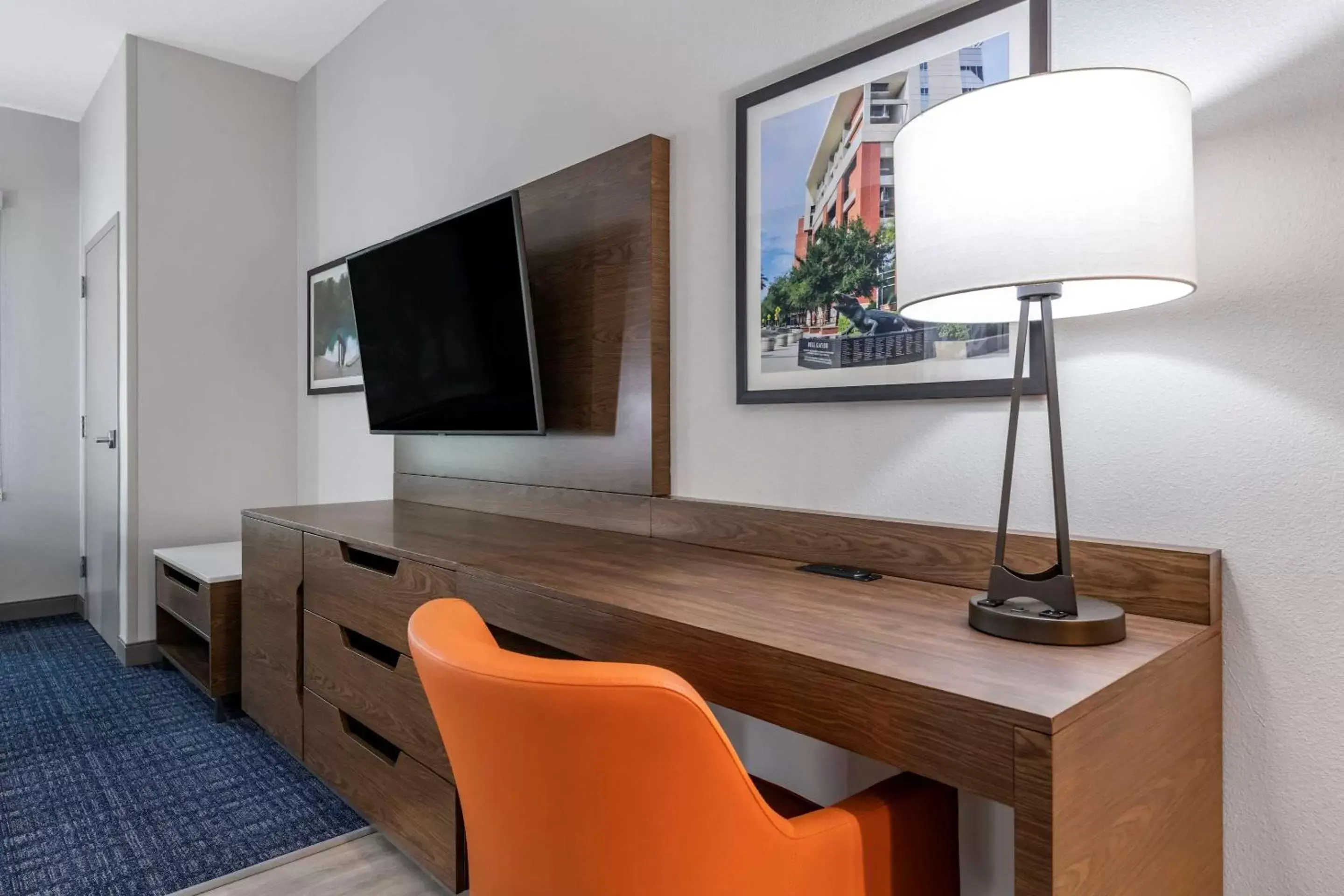 TV and multimedia, TV/Entertainment Center in Comfort Suites Gainesville Near University