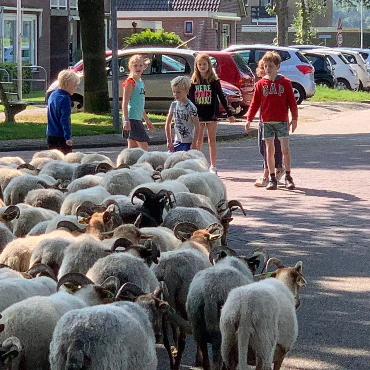 Nearby landmark in Het Uilennest